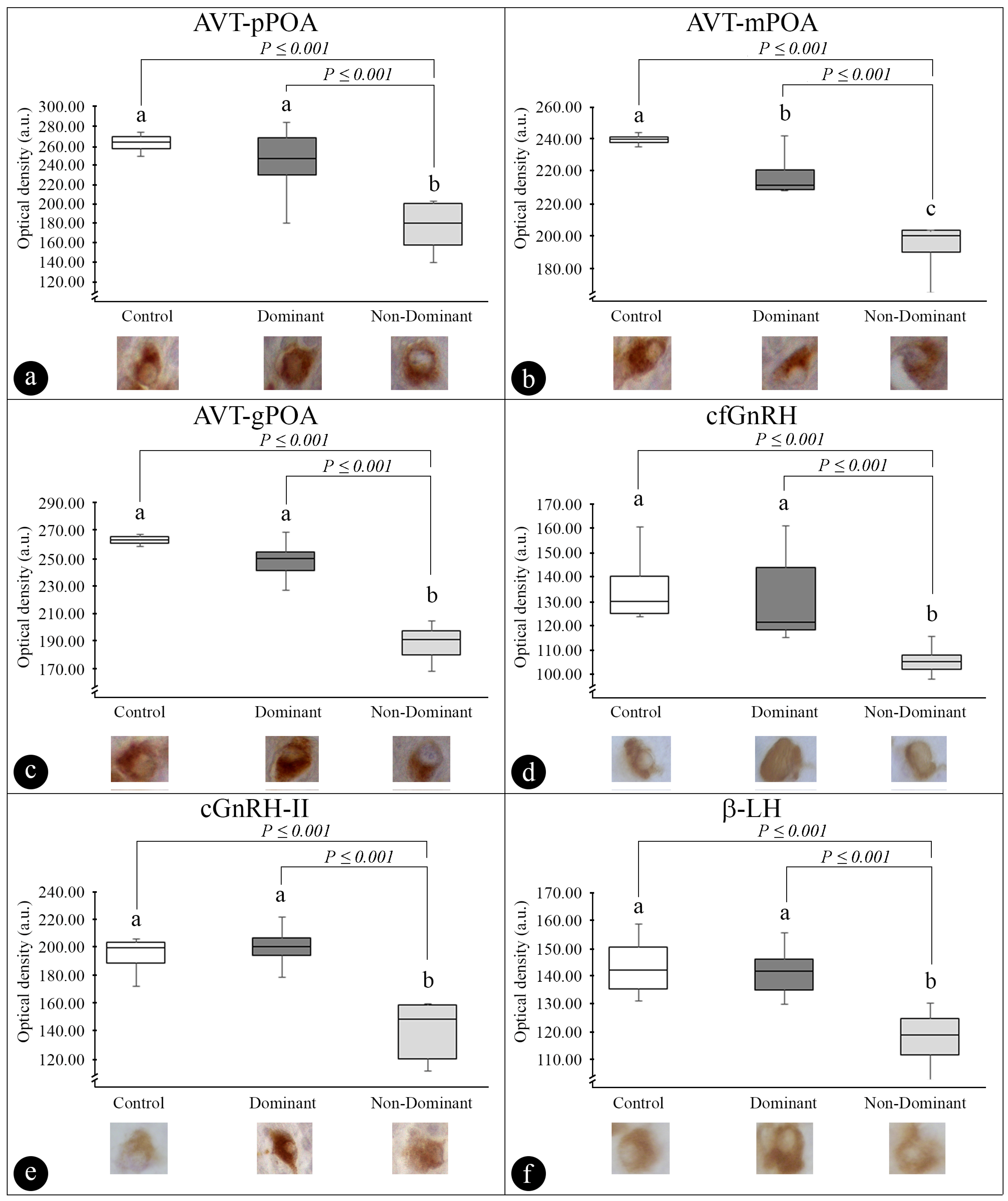 Fishes 09 00235 g007