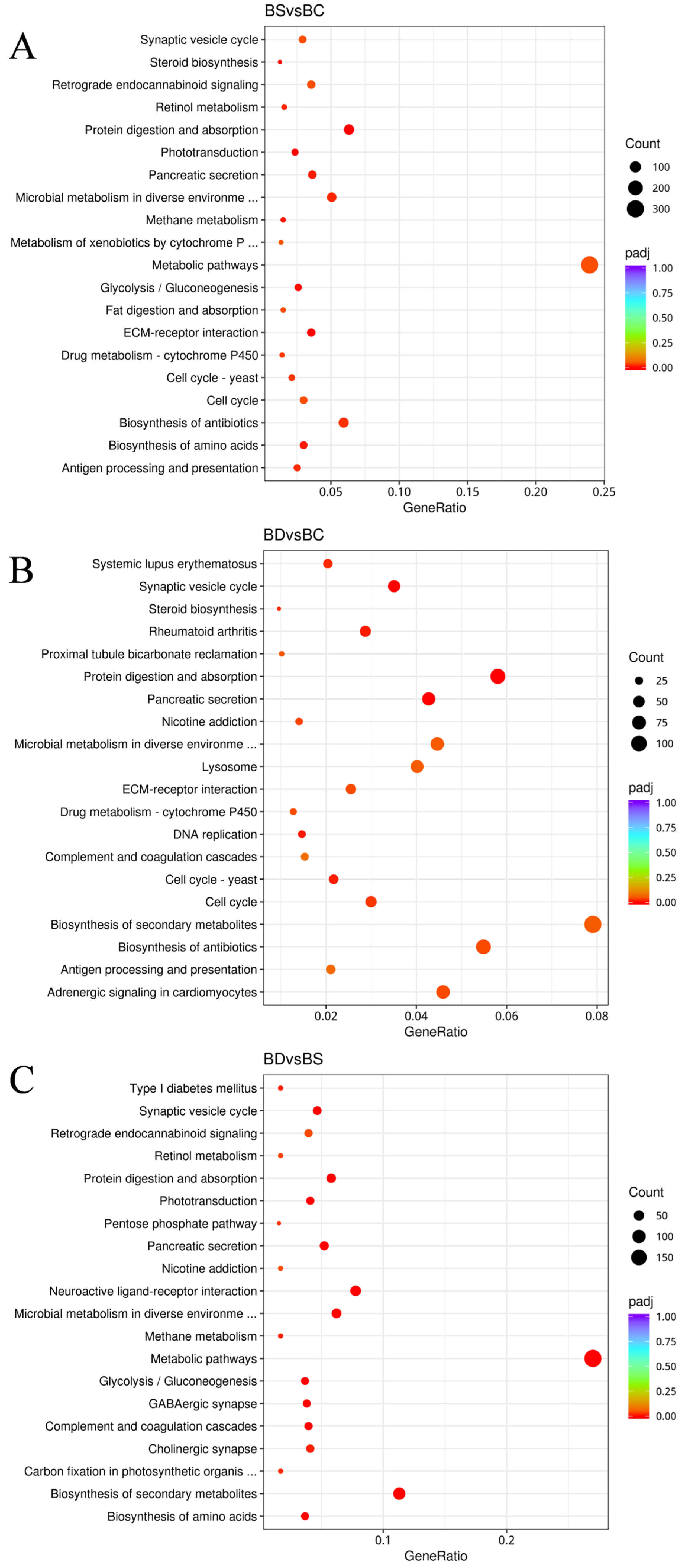 Fishes 09 00239 g007