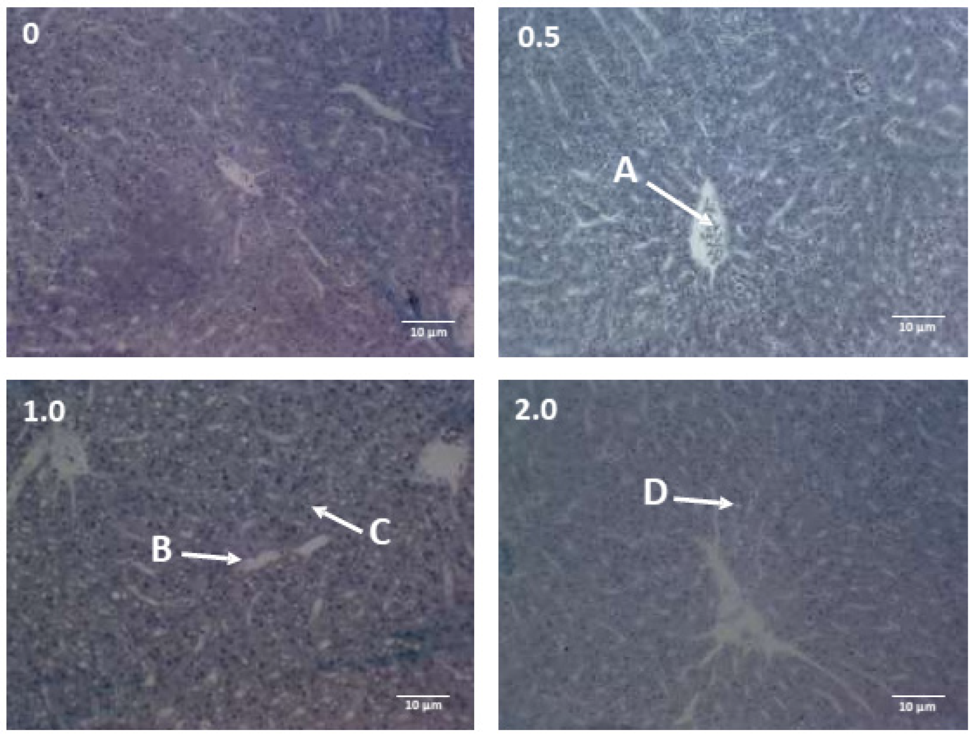 Fishes 09 00240 g003