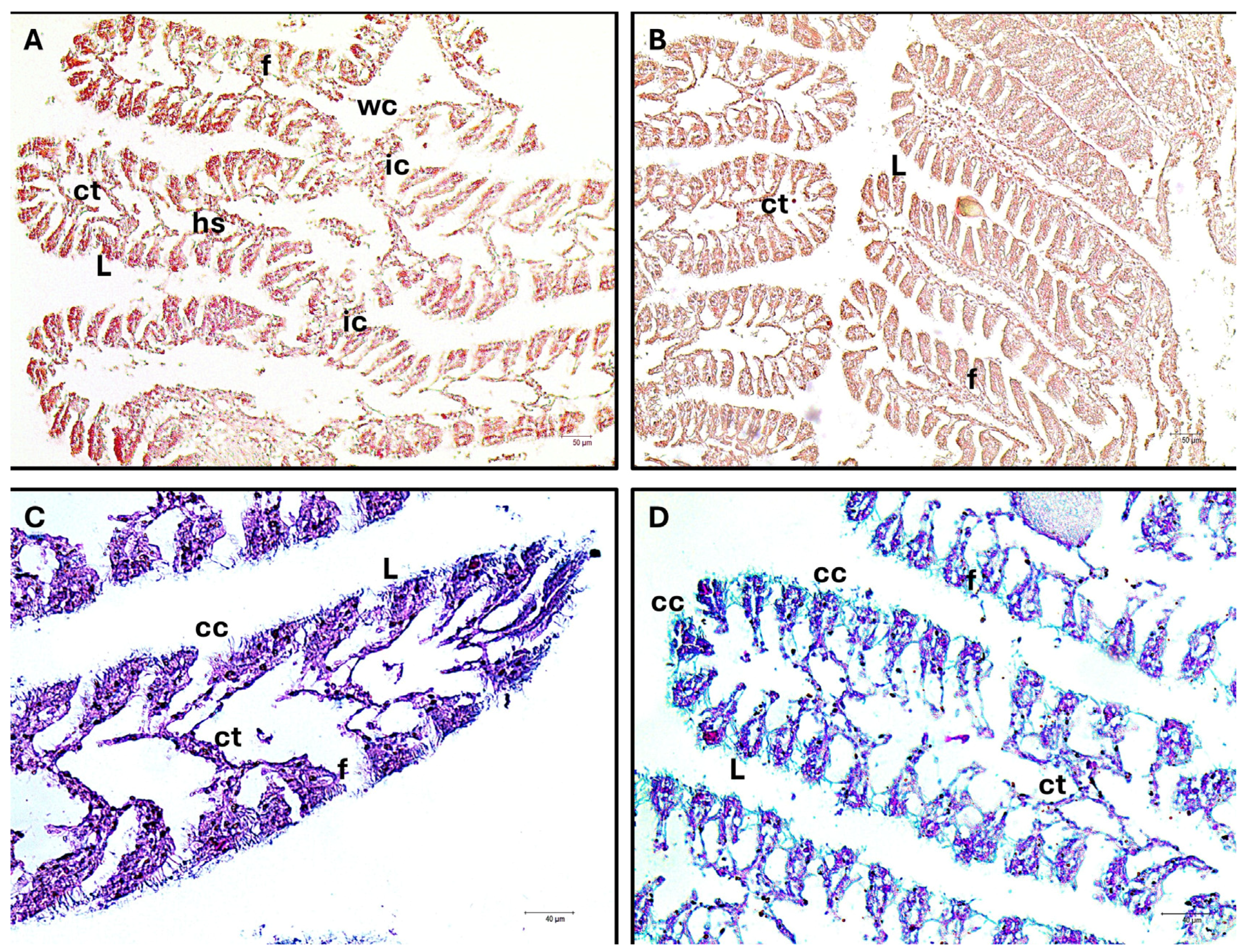 Fishes 09 00241 g002