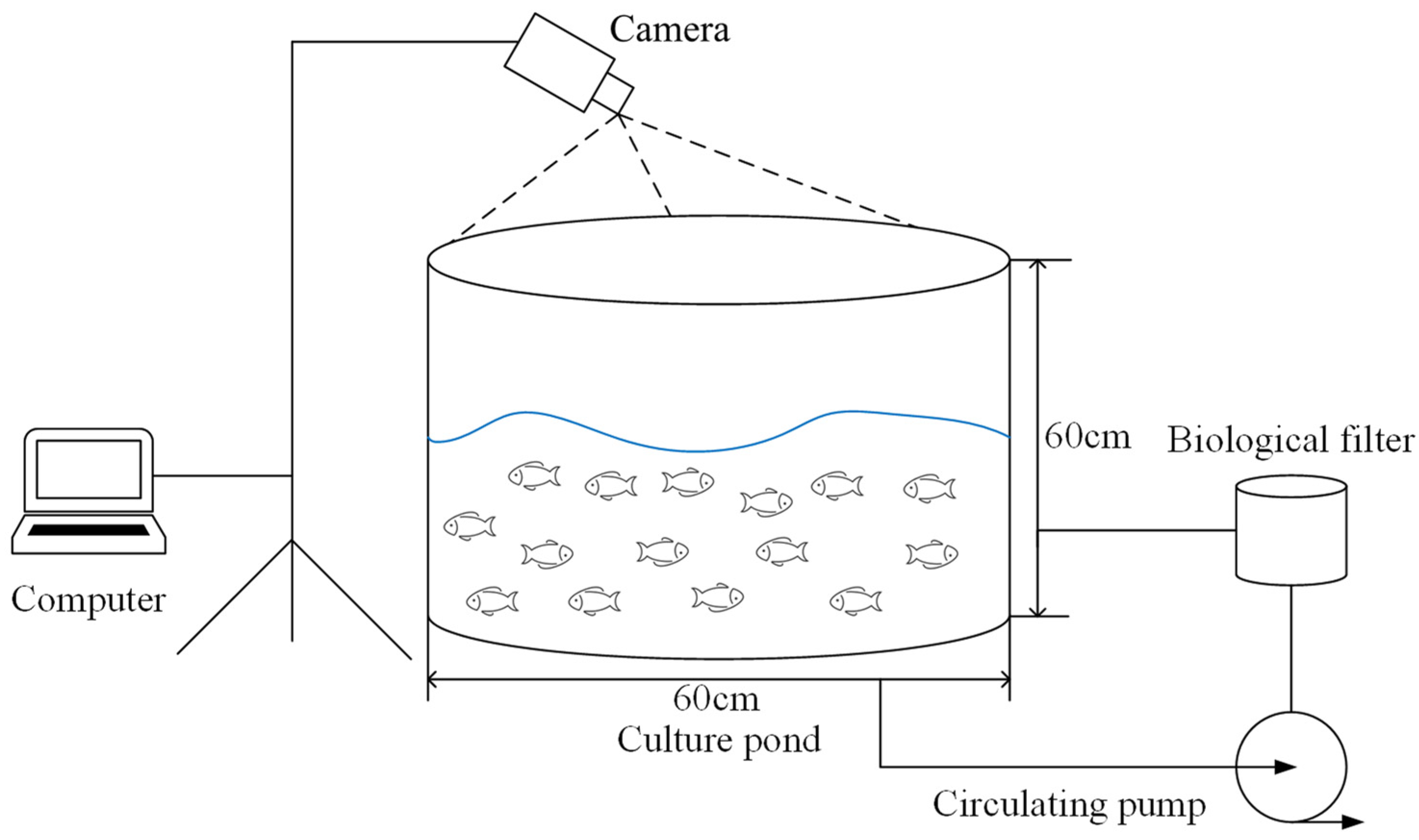 Fishes 09 00242 g001