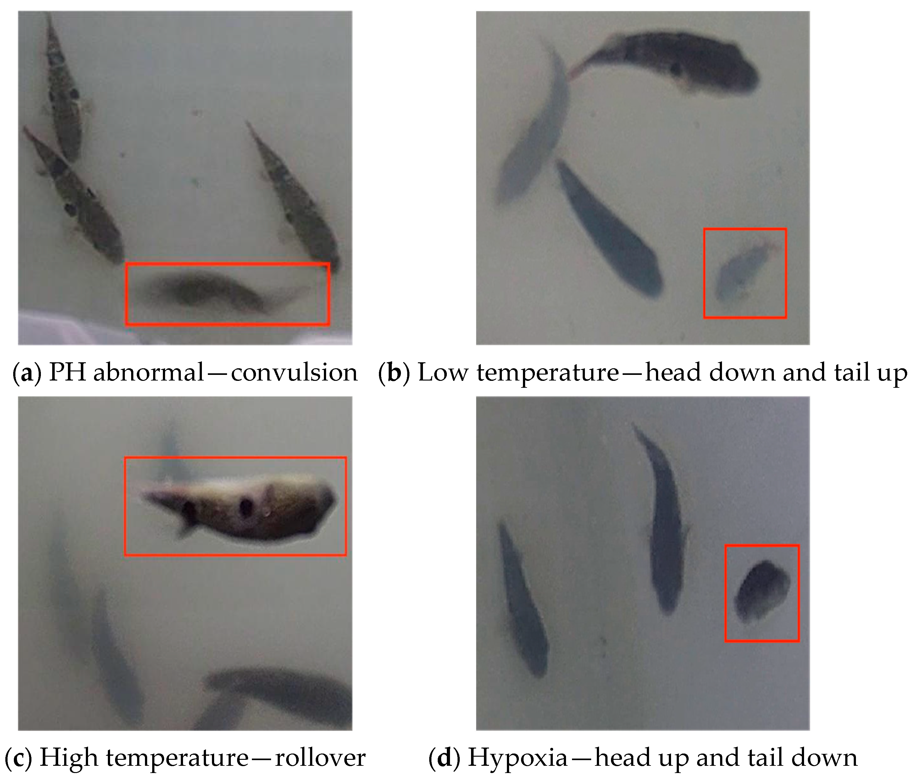 Fishes 09 00242 g002