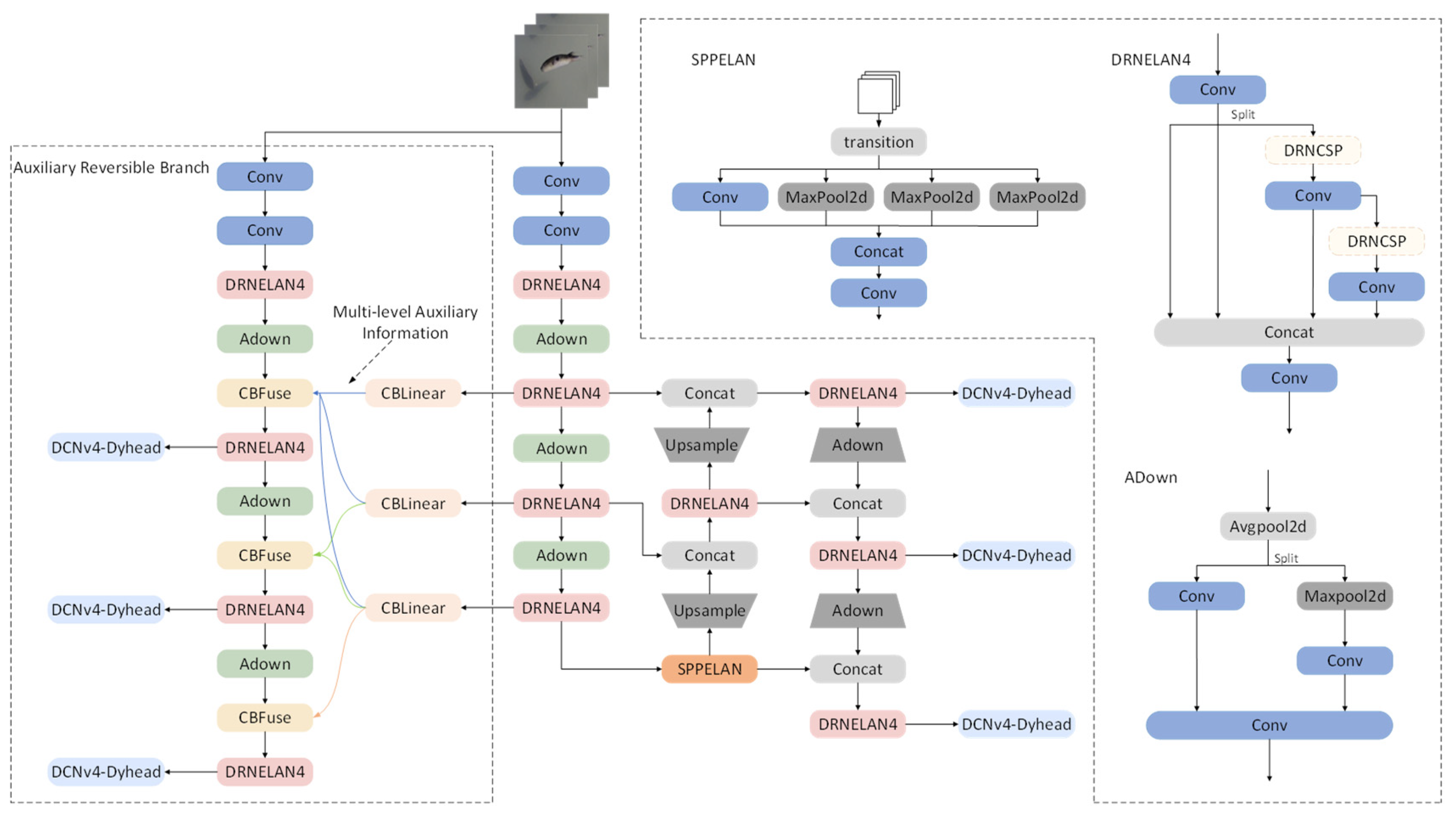 Fishes 09 00242 g004
