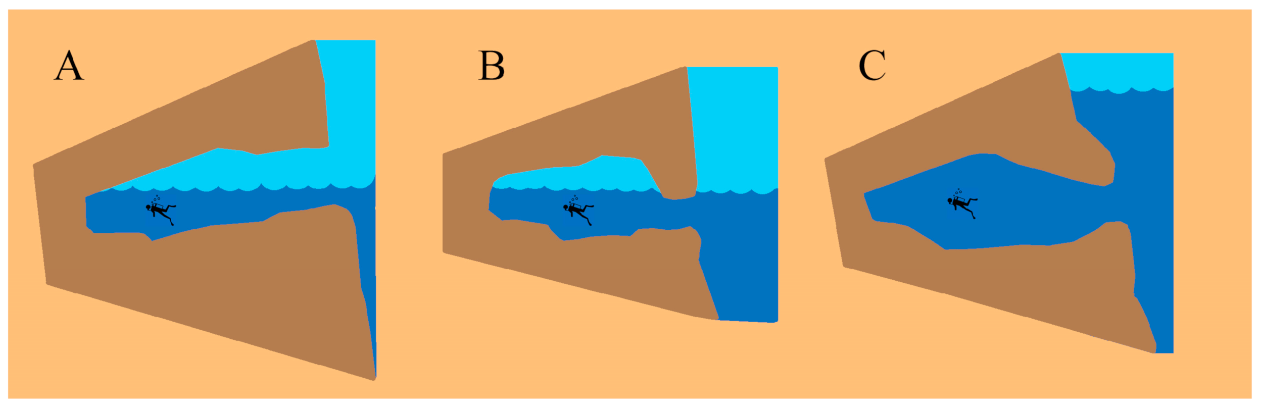 Fishes 09 00243 g003