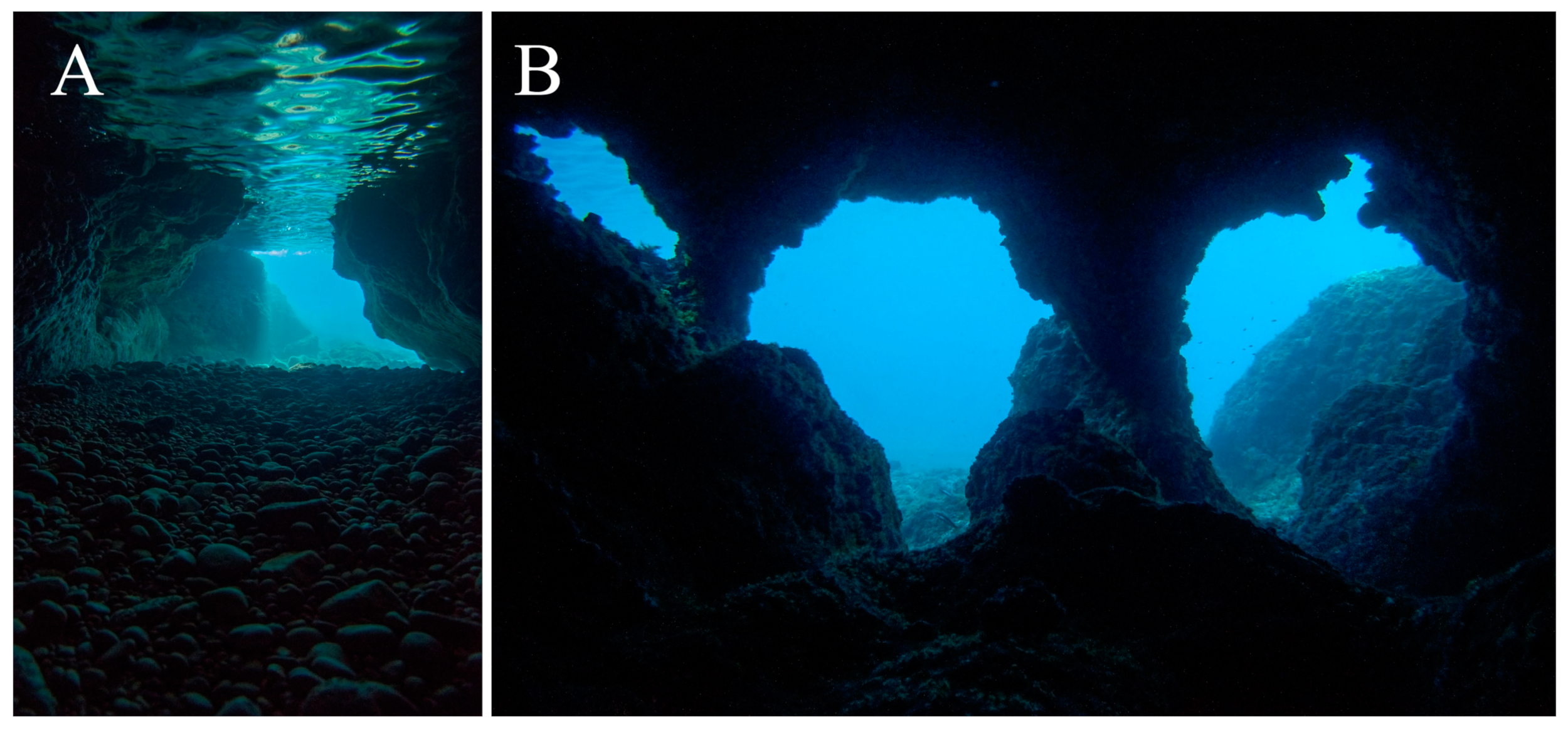 Fishes 09 00243 g004