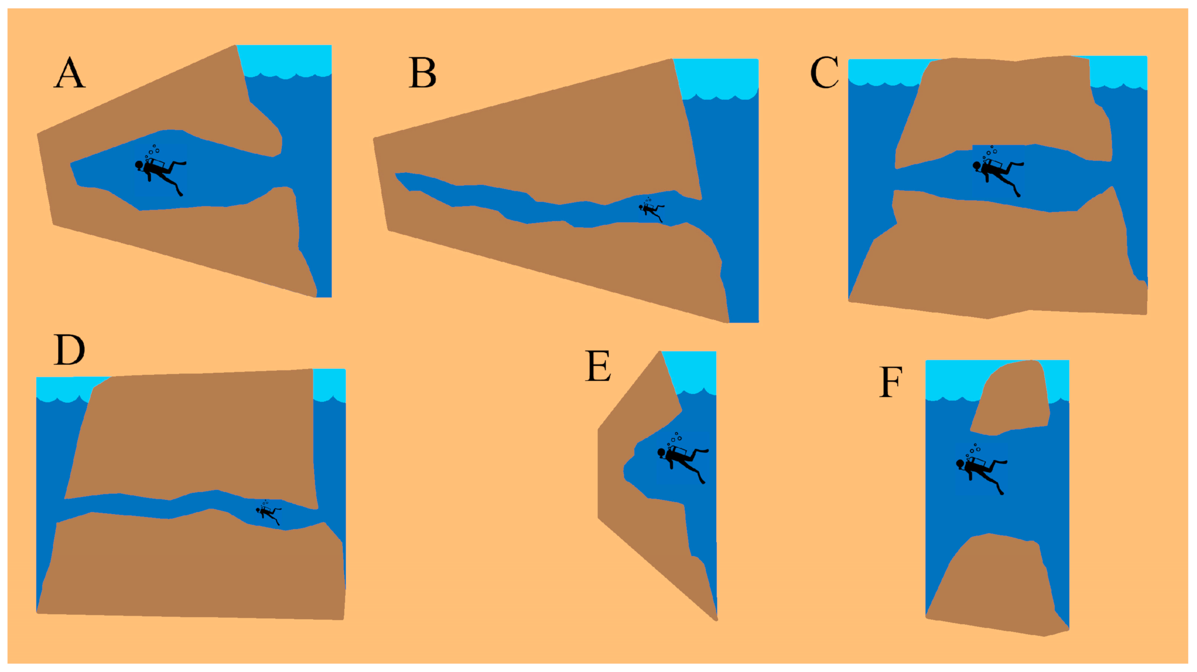 Fishes 09 00243 g005