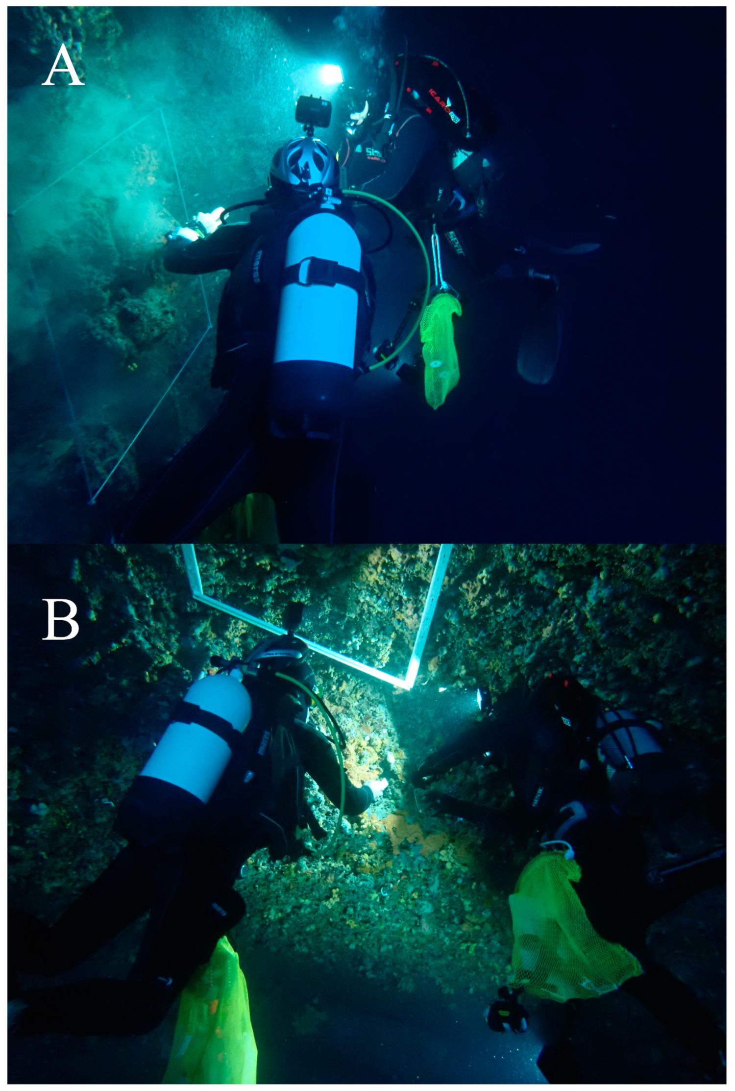 Fishes 09 00243 g008