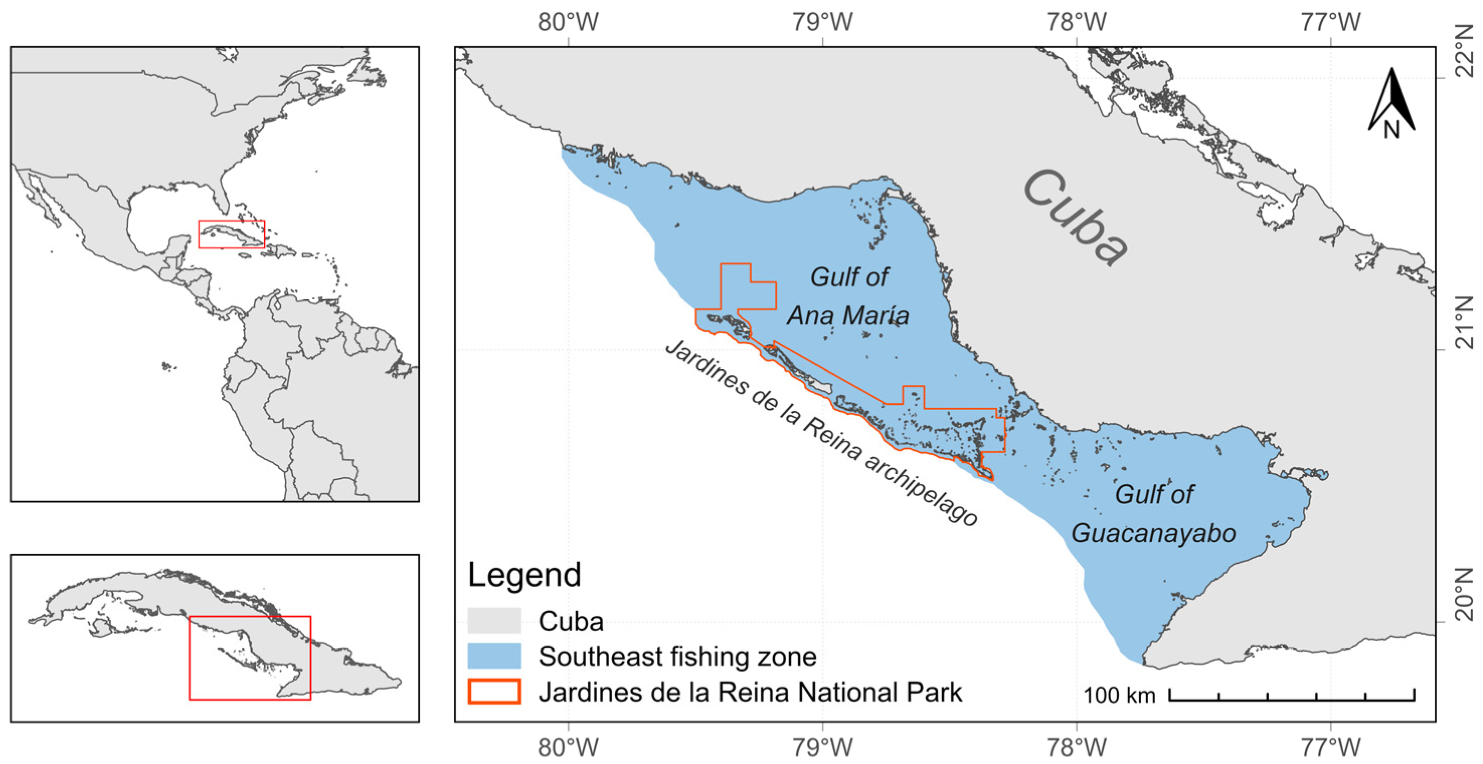 Fishes 09 00246 g001