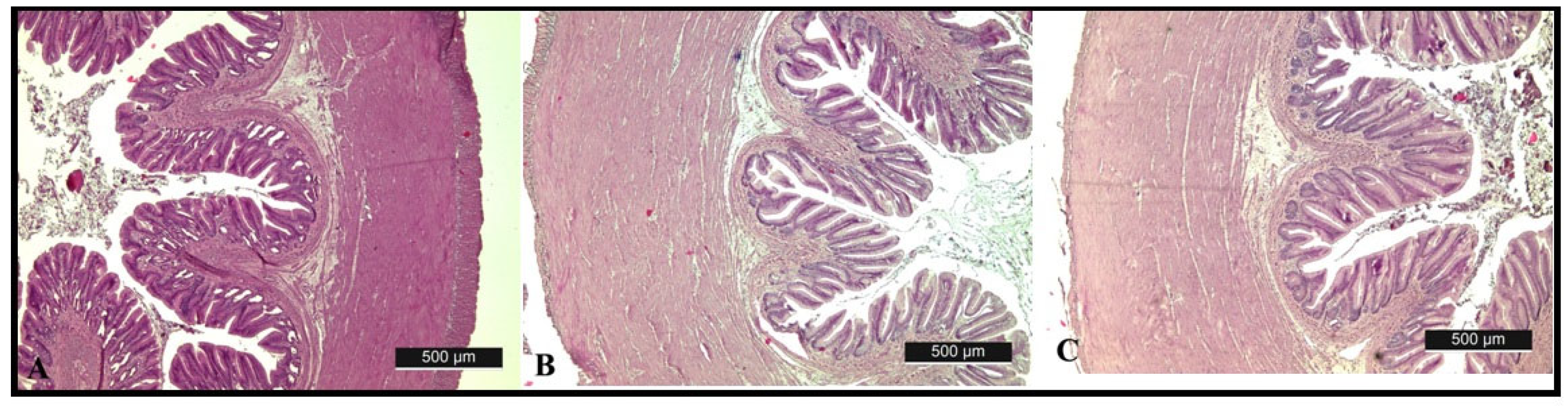 Fishes 09 00249 g003