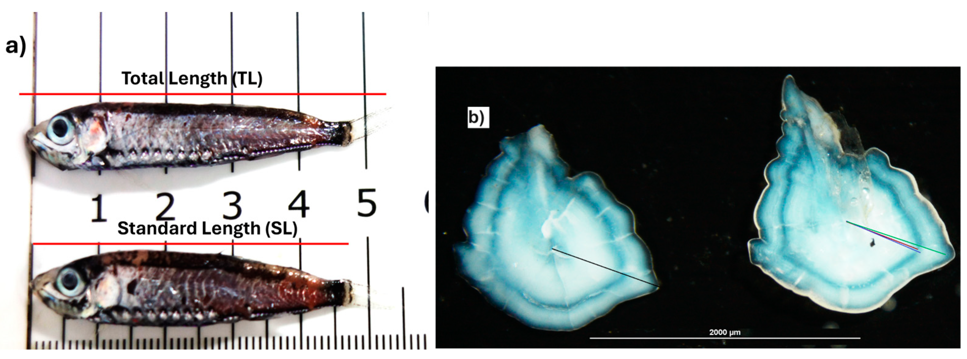 Fishes 09 00250 g002 Fishes 09 00250 g002