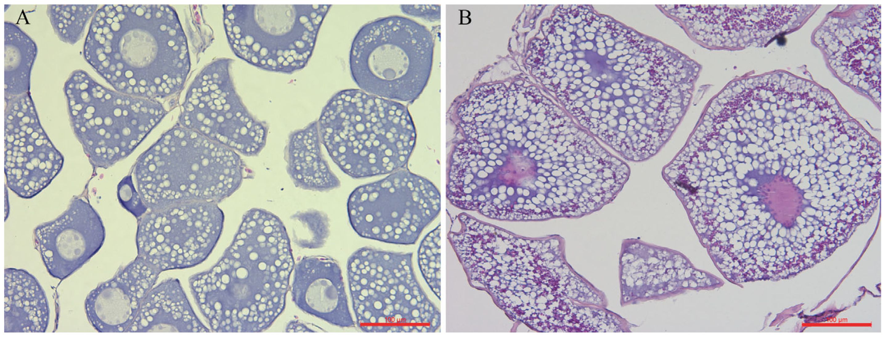 Fishes 09 00265 g002