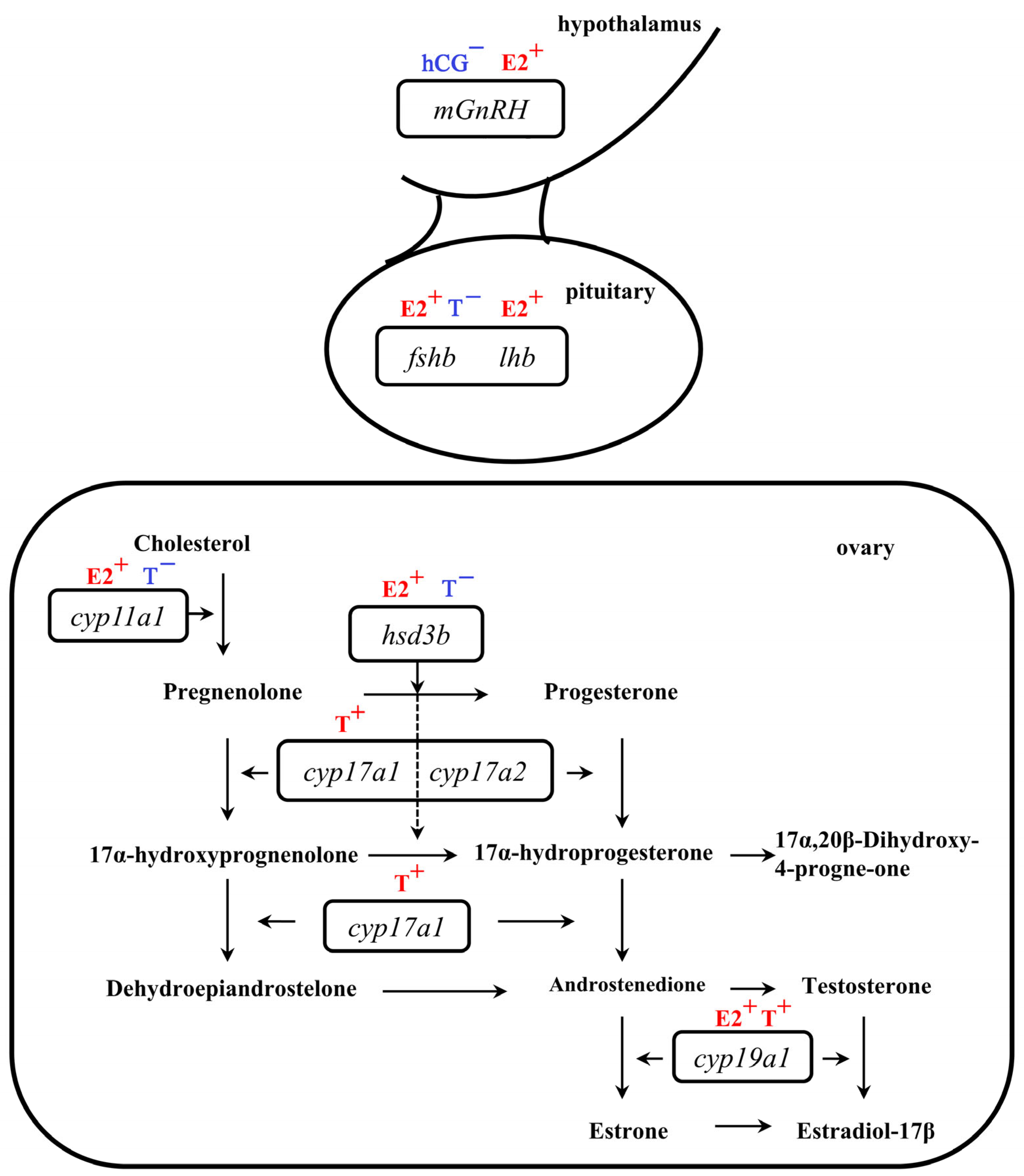 Fishes 09 00265 g006