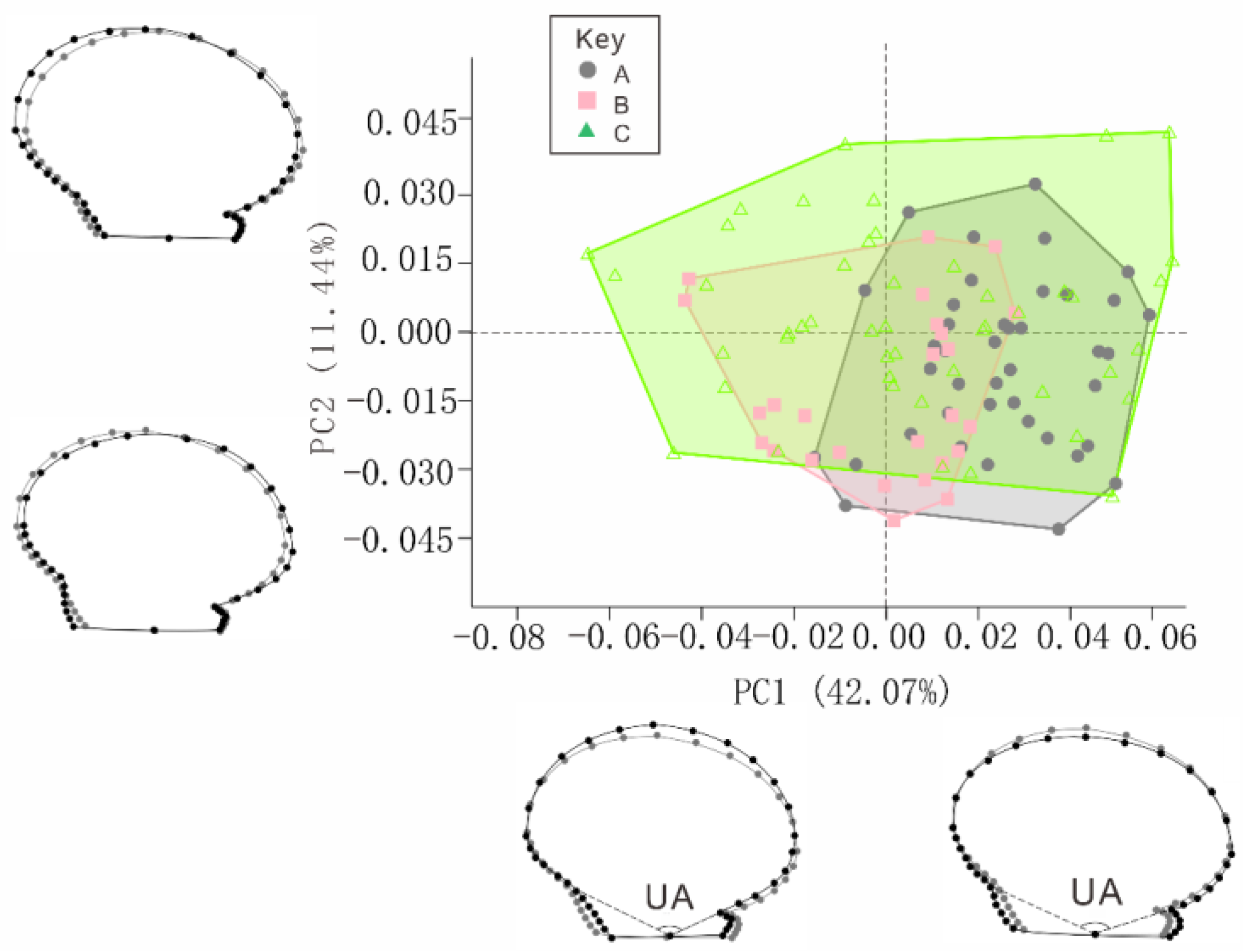 Fishes 09 00267 g007