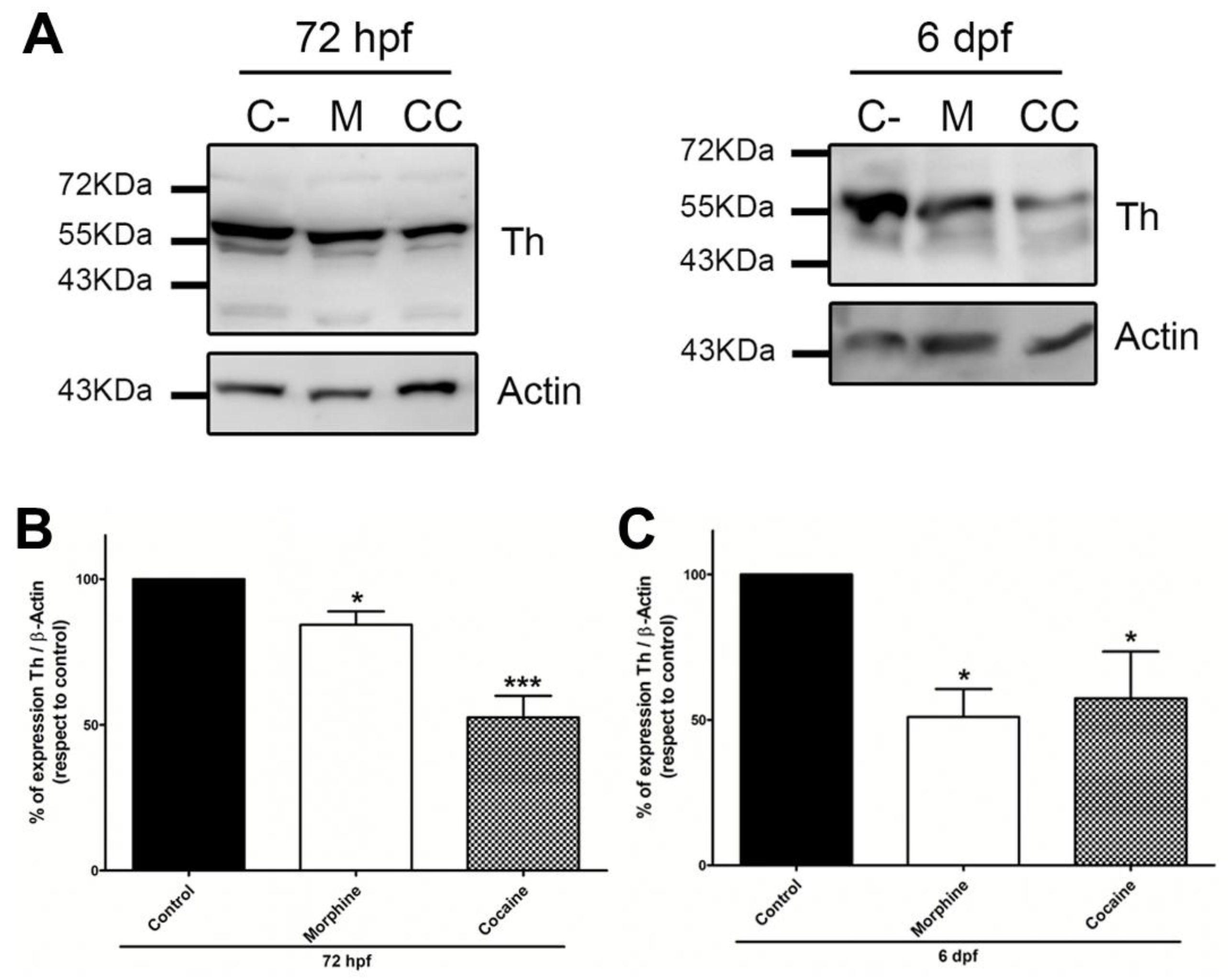 Fishes 09 00268 g004