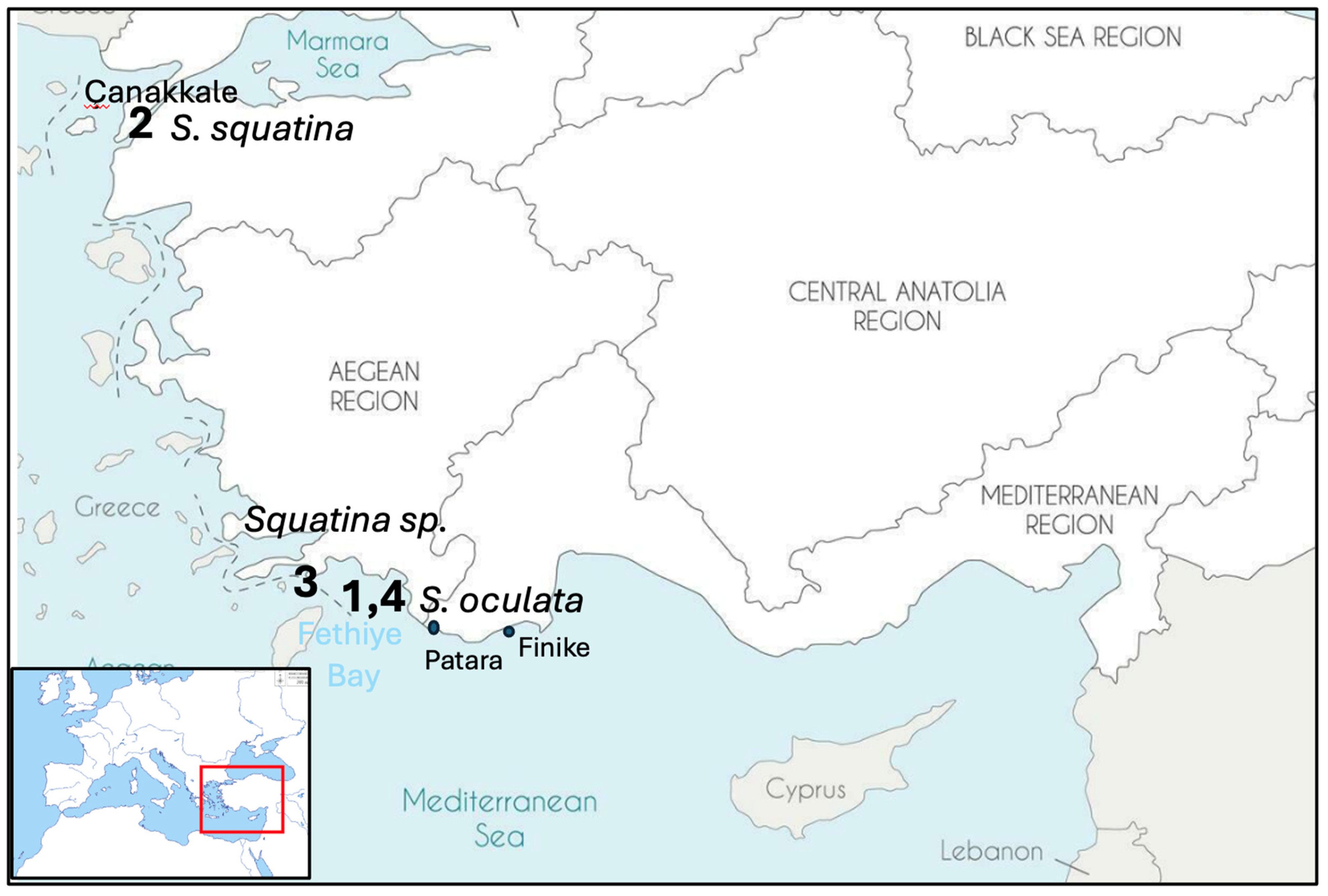 Fishes 09 00270 g003