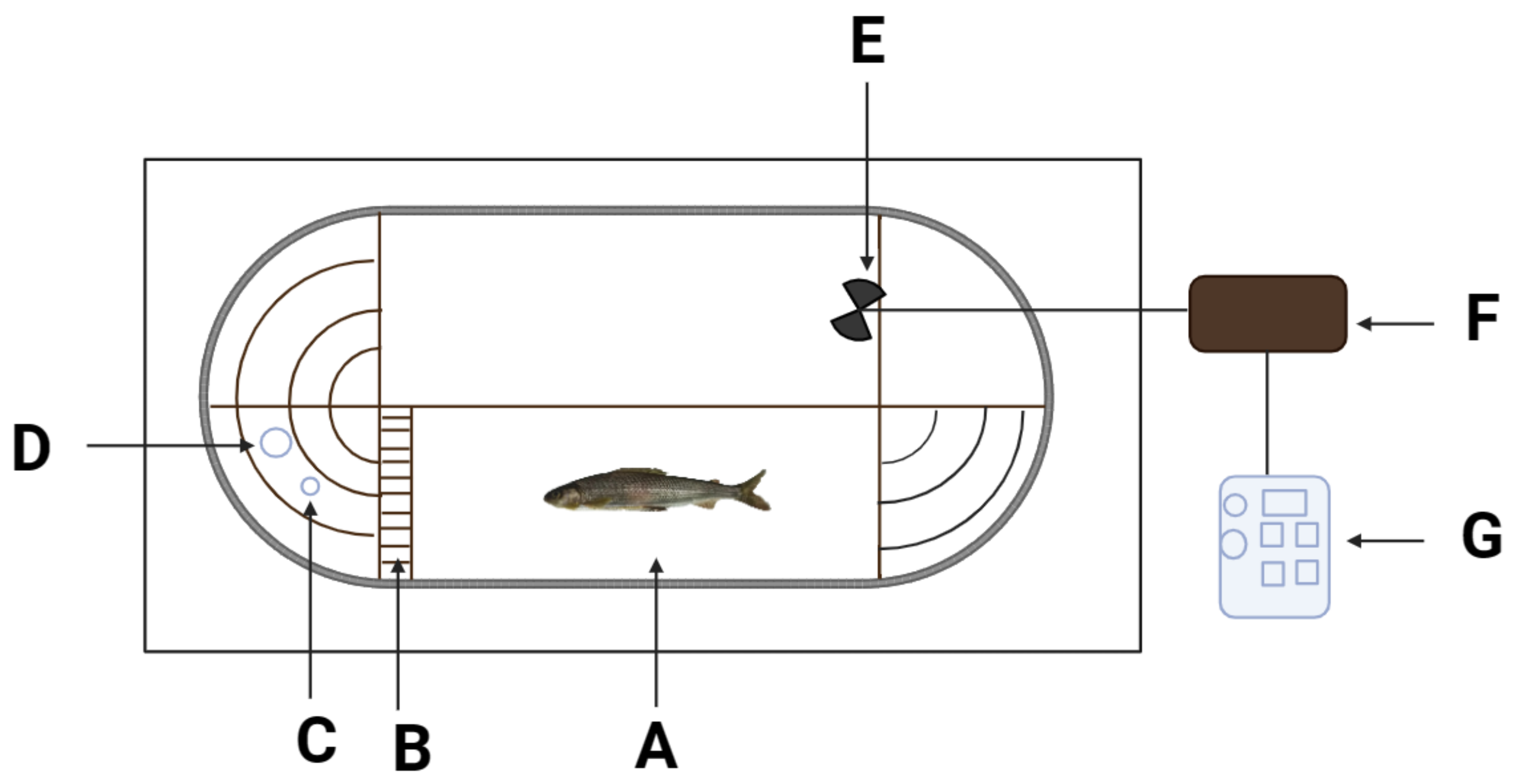 Fishes 09 00272 g001 Fishes 09 00272 g001