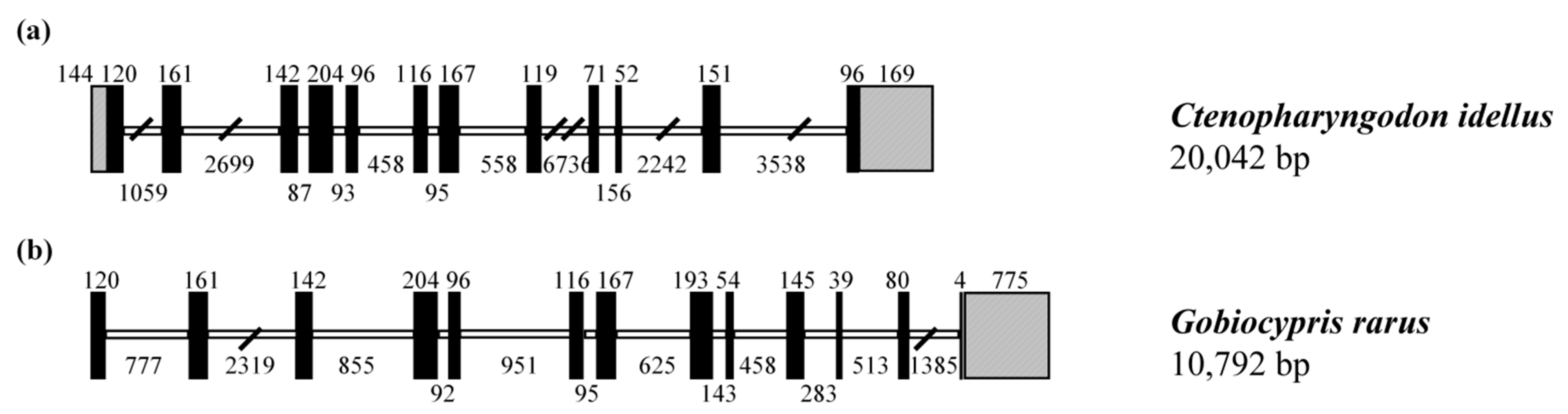 Fishes 09 00276 g002