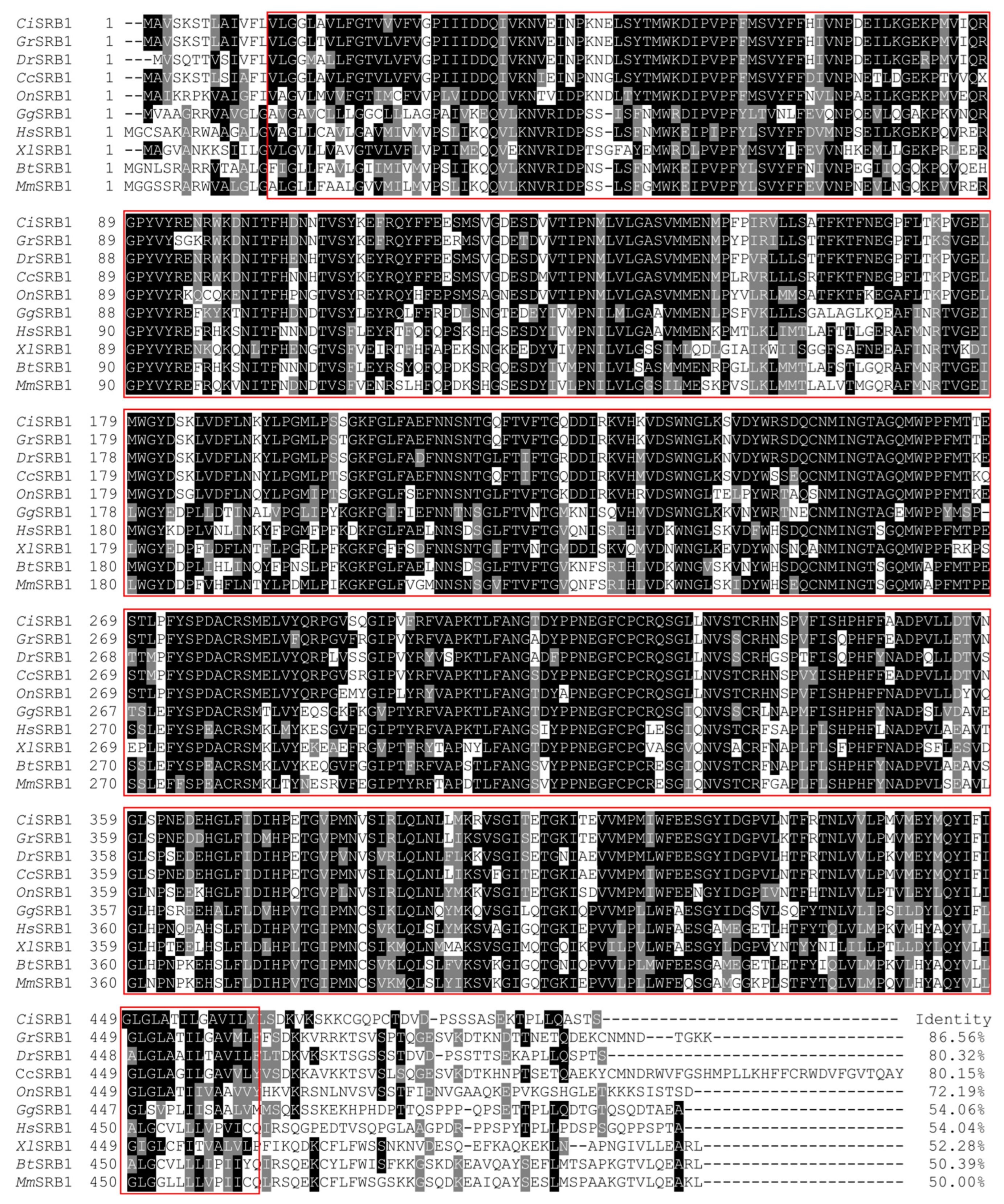 Fishes 09 00276 g003