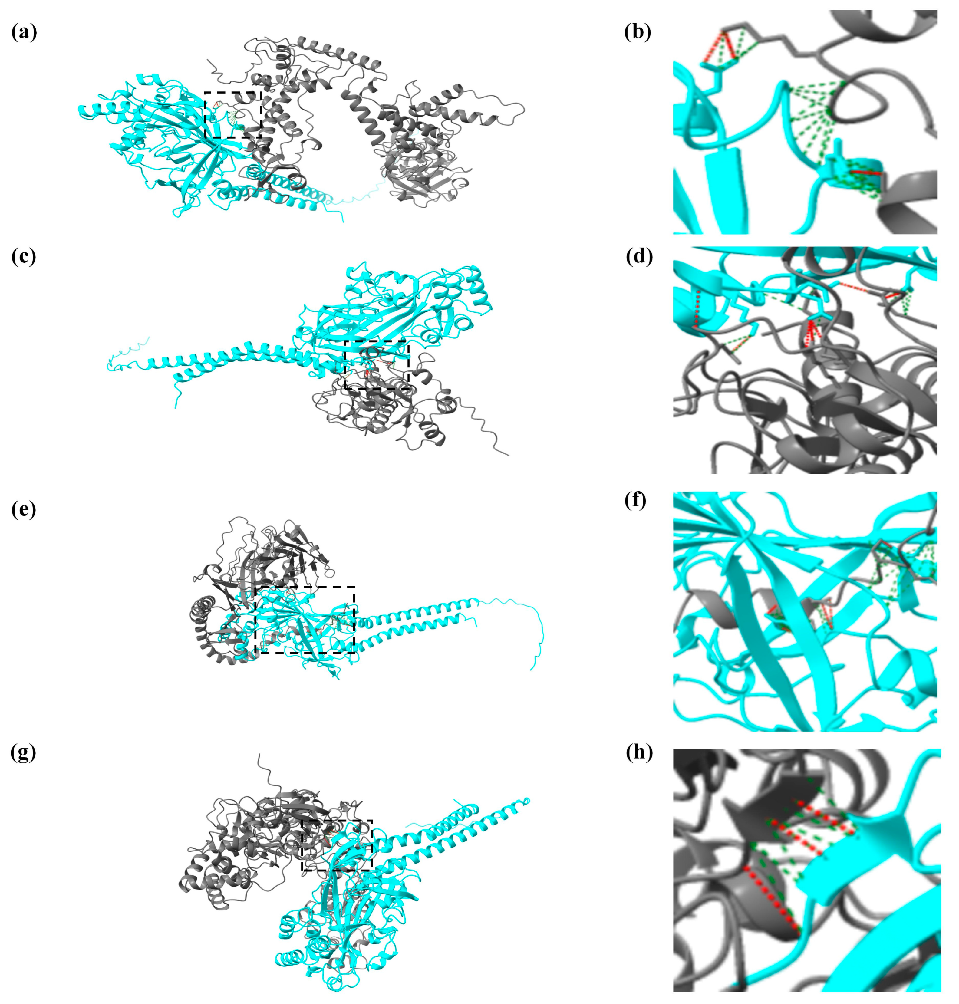 Fishes 09 00276 g005