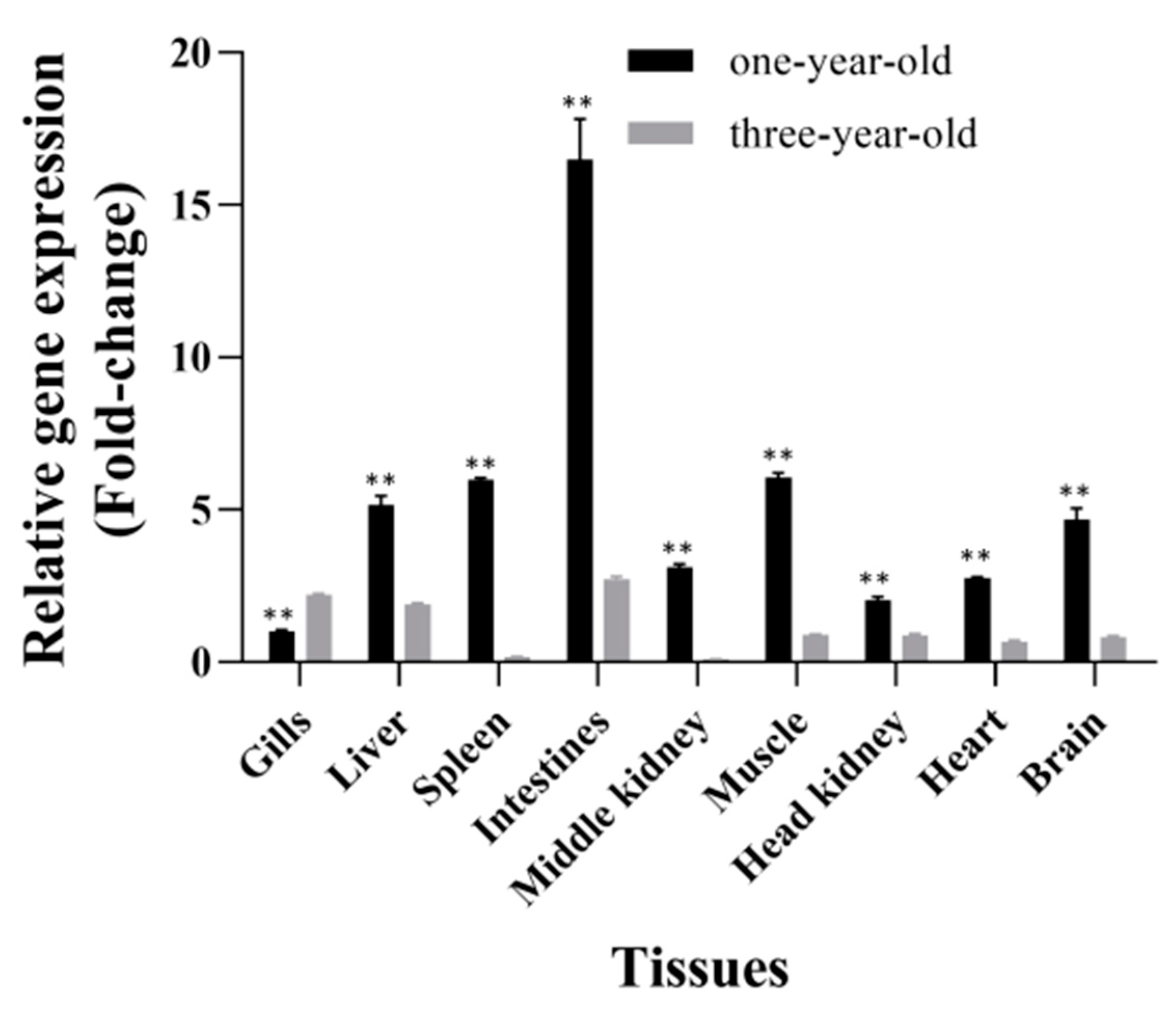 Fishes 09 00276 g006