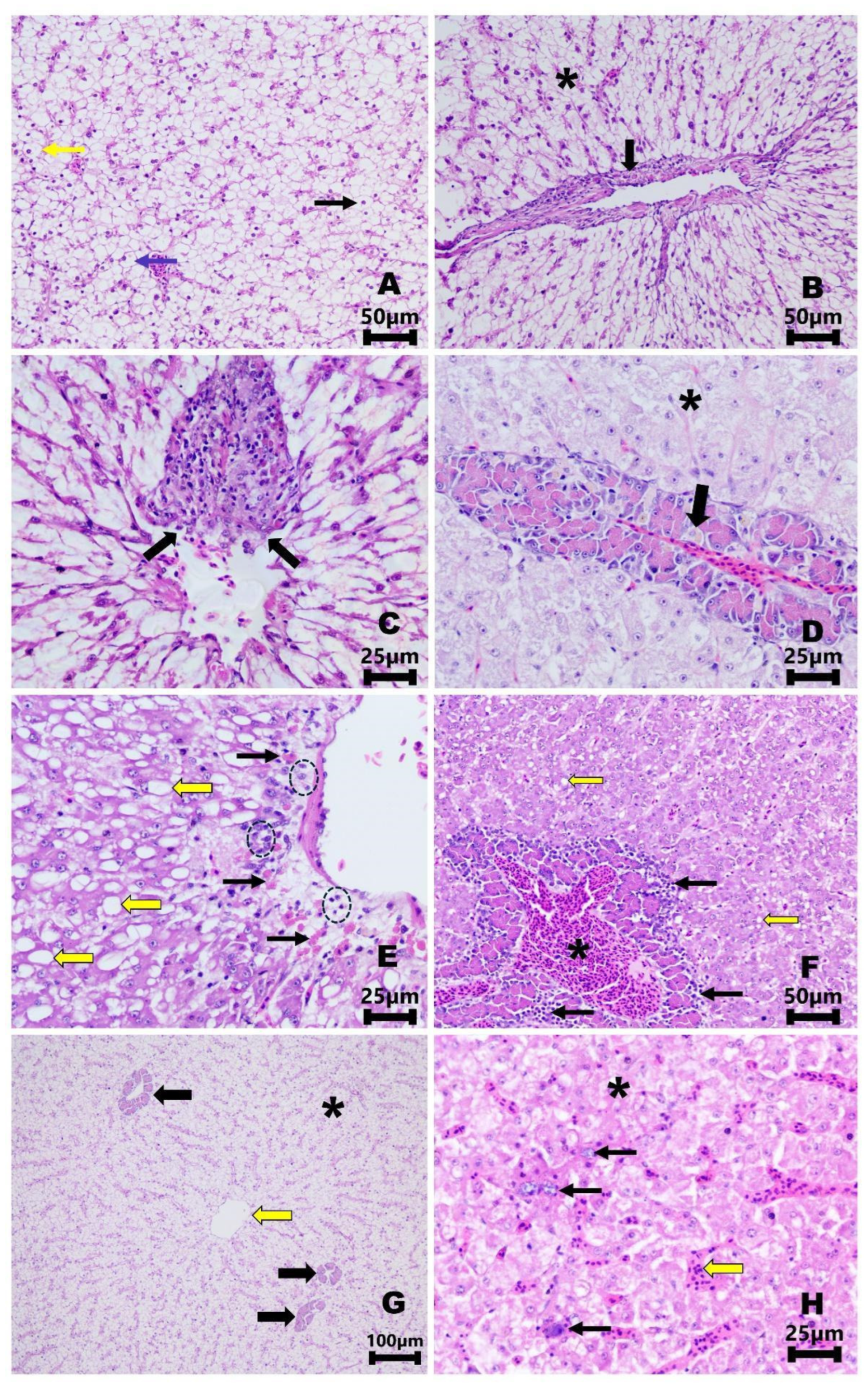 Fishes 09 00279 g008