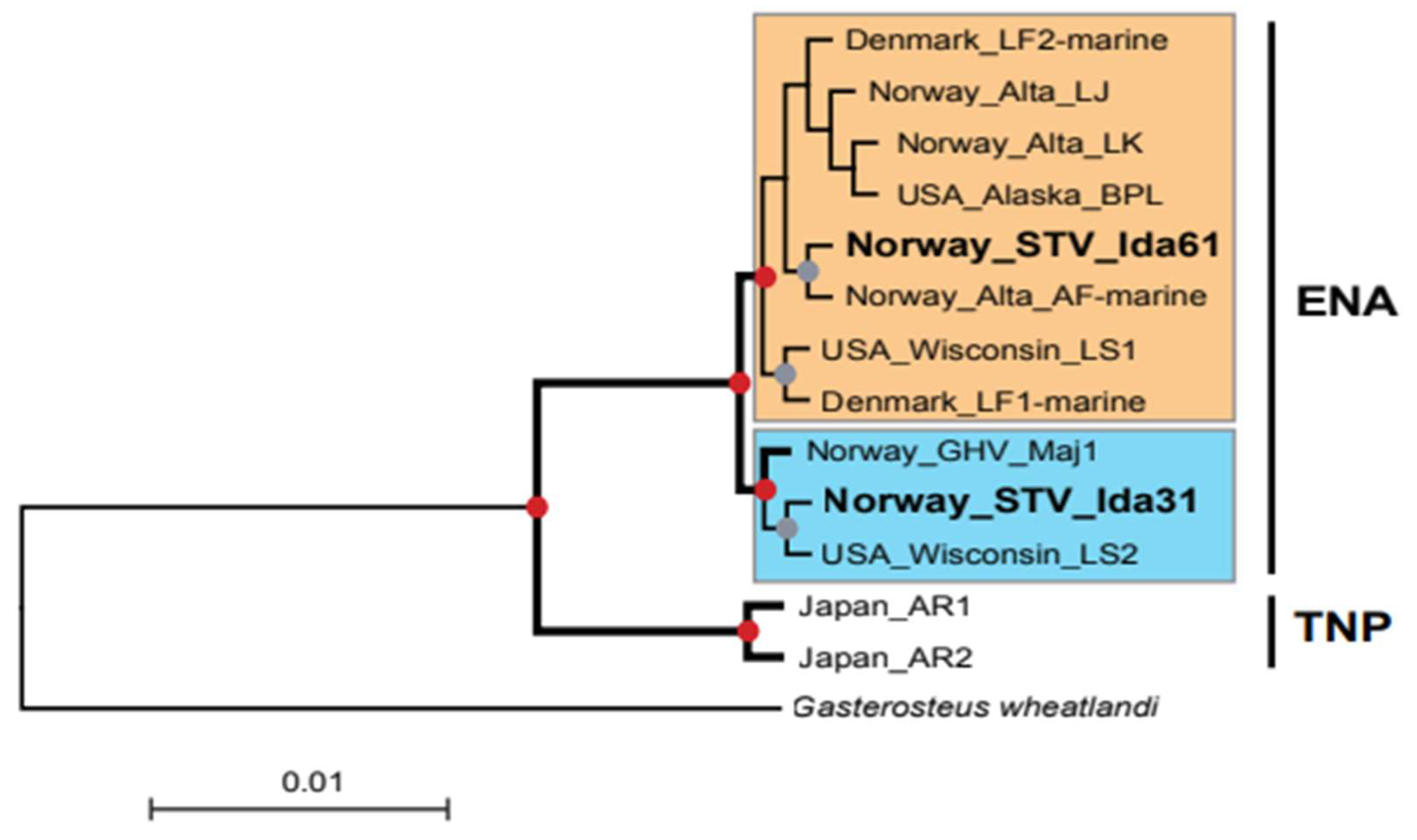 Fishes 09 00285 g003