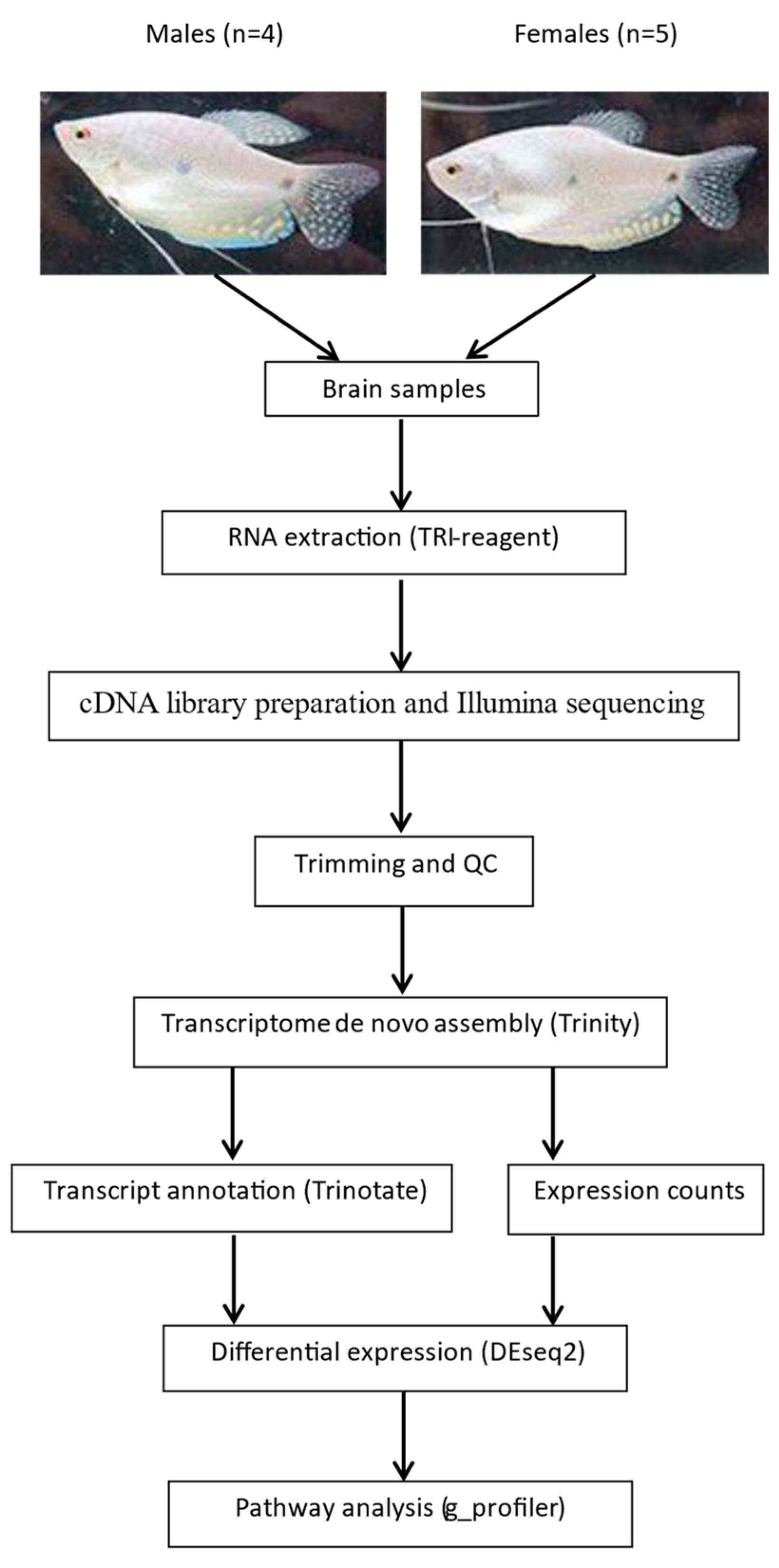 Fishes 09 00287 g001
