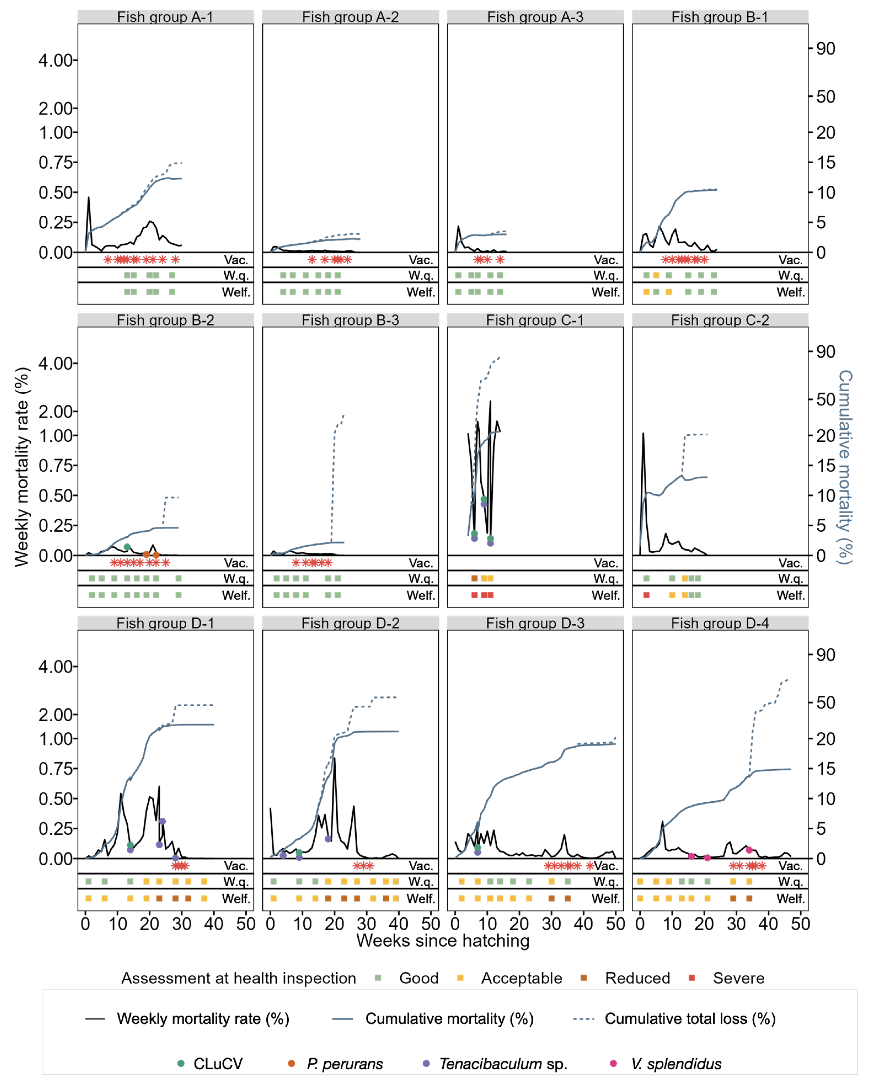 Fishes 09 00288 g004