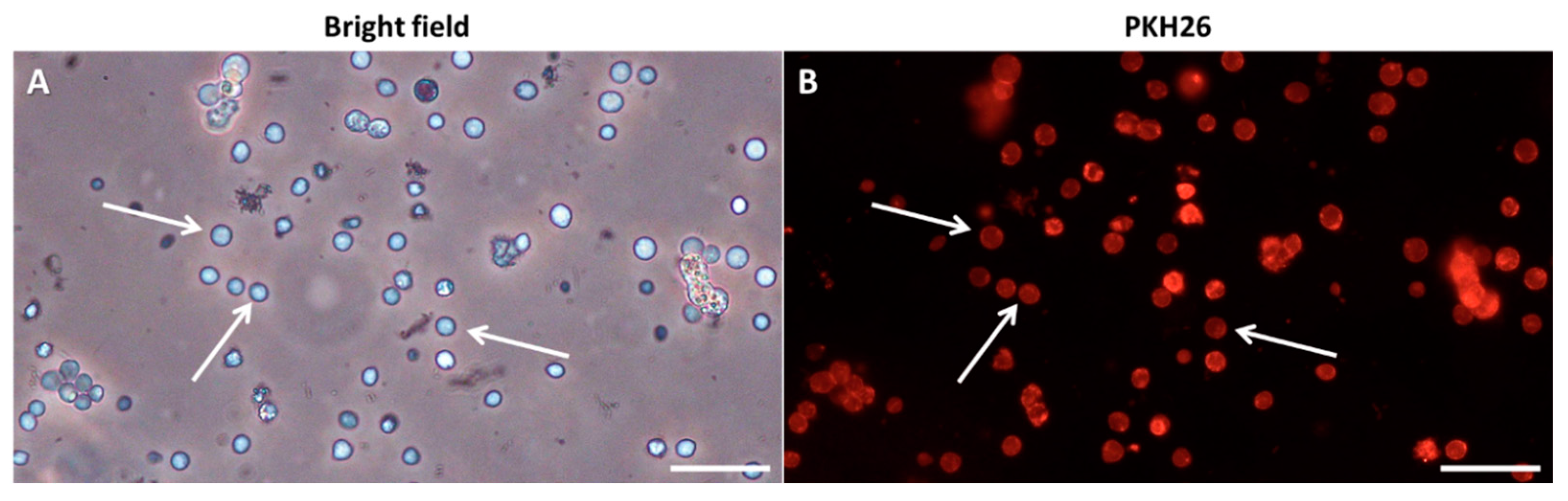 Fishes 09 00290 g002 Fishes 09 00290 g002