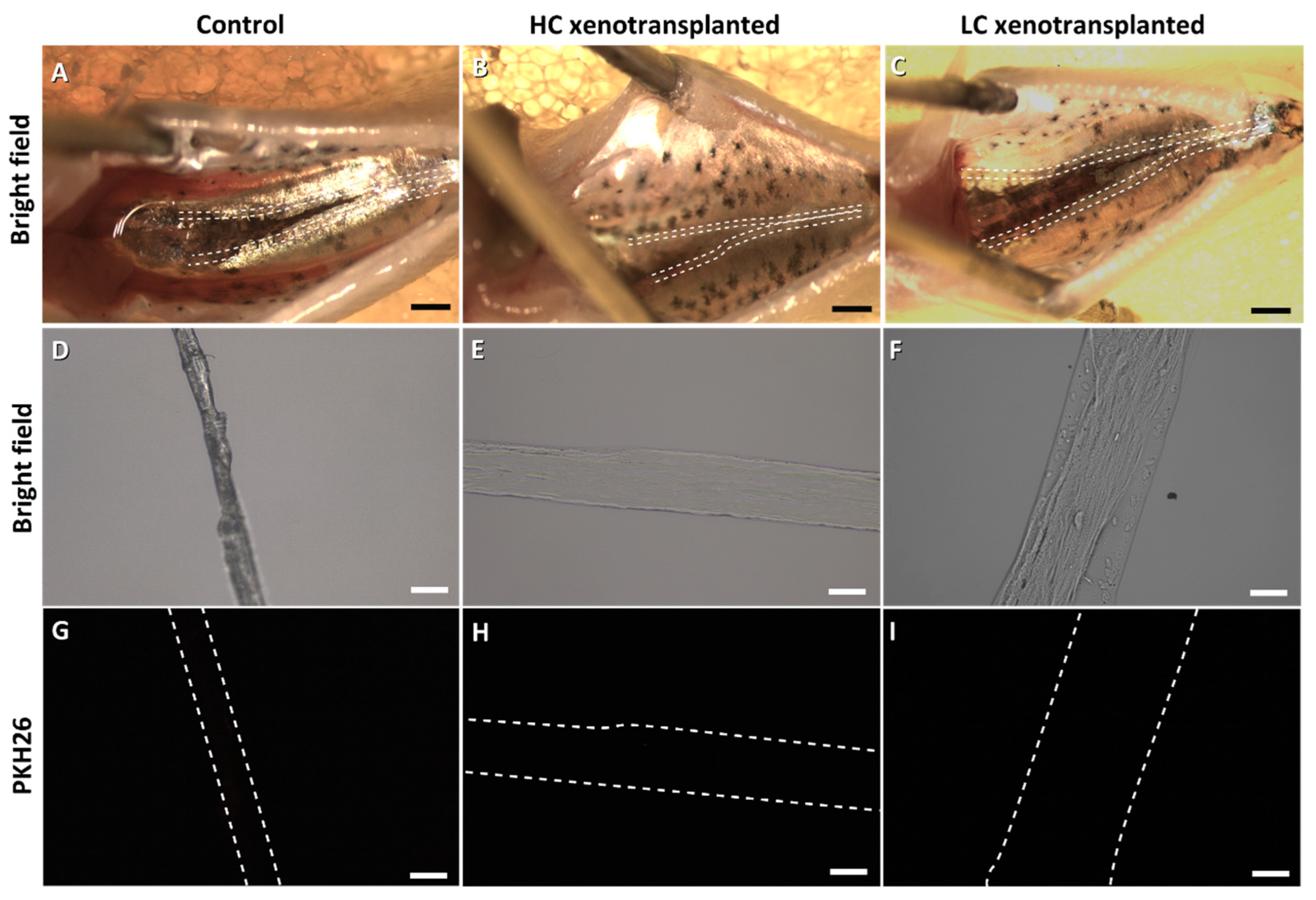 Fishes 09 00290 g004 Fishes 09 00290 g004