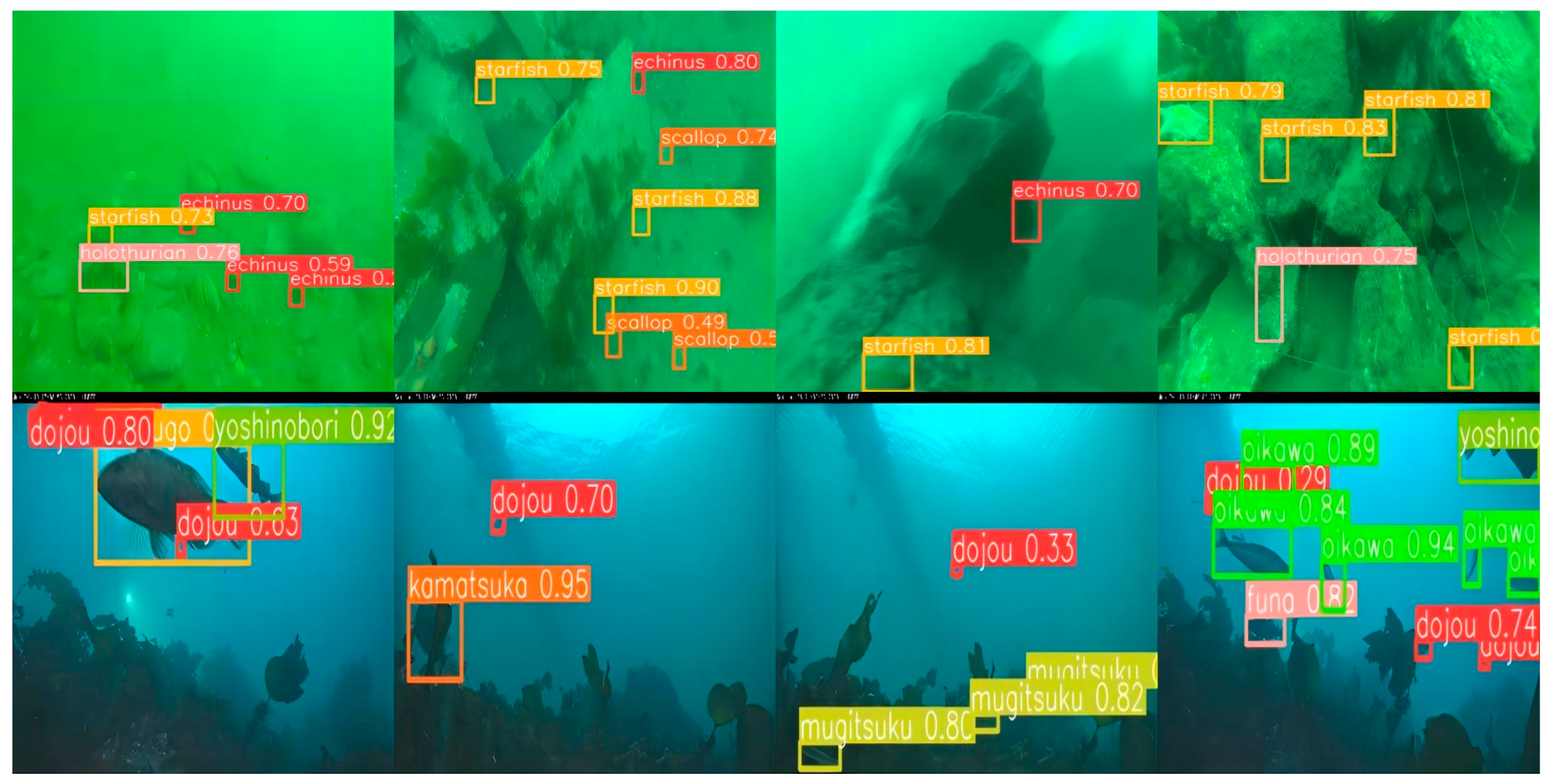 Fishes 09 00294 g006