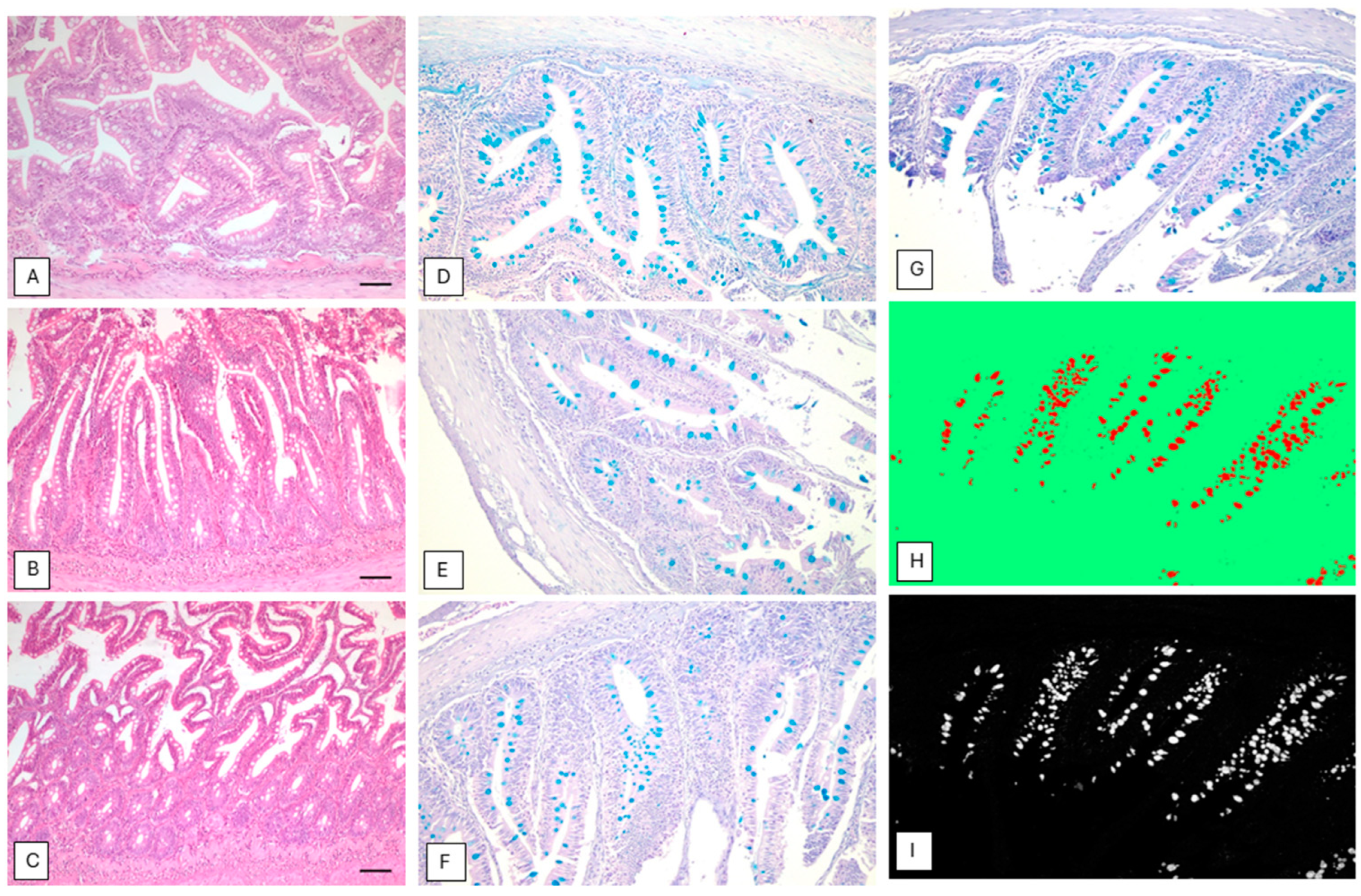 Fishes 09 00295 g003