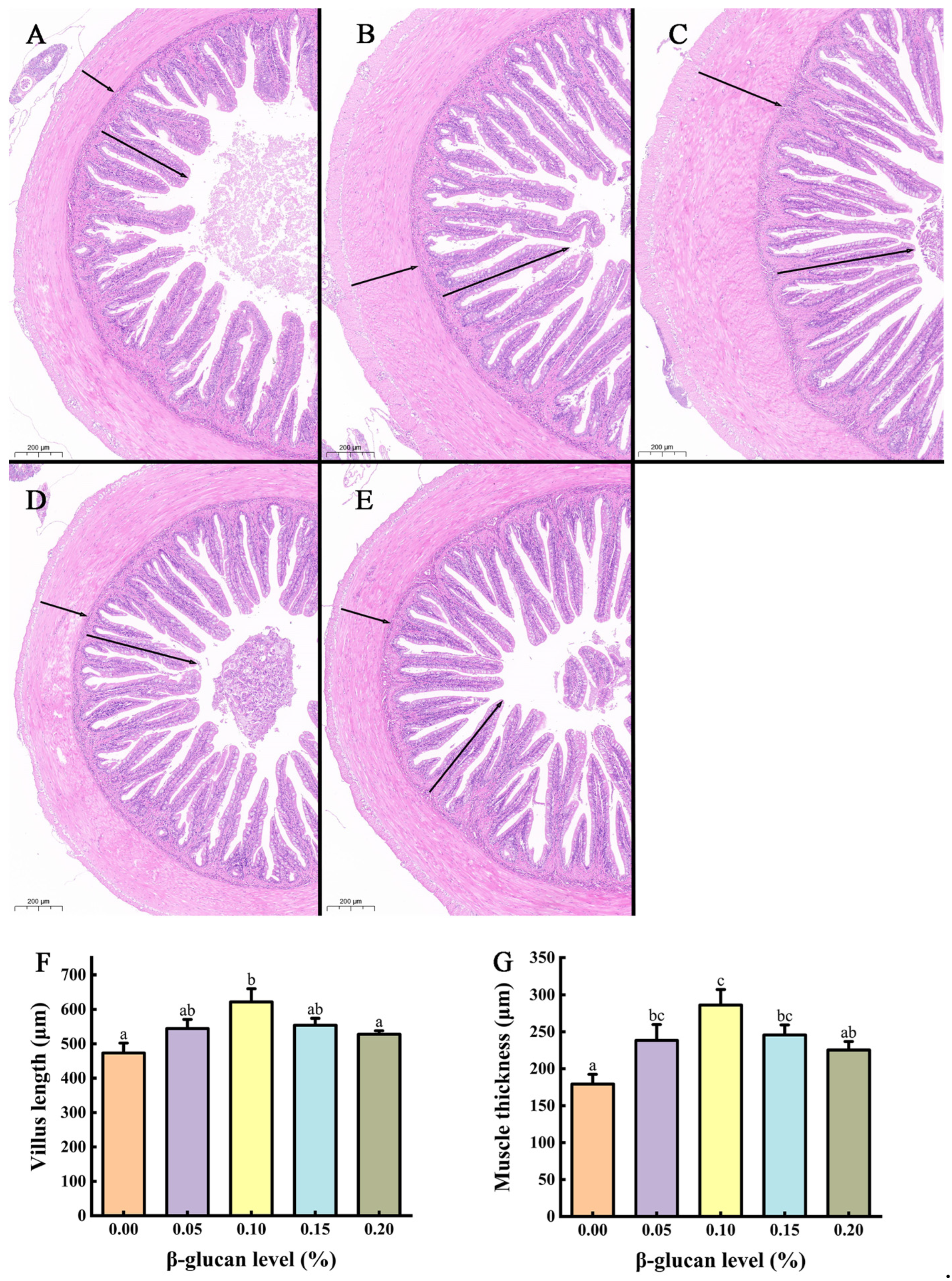 Fishes 09 00298 g002