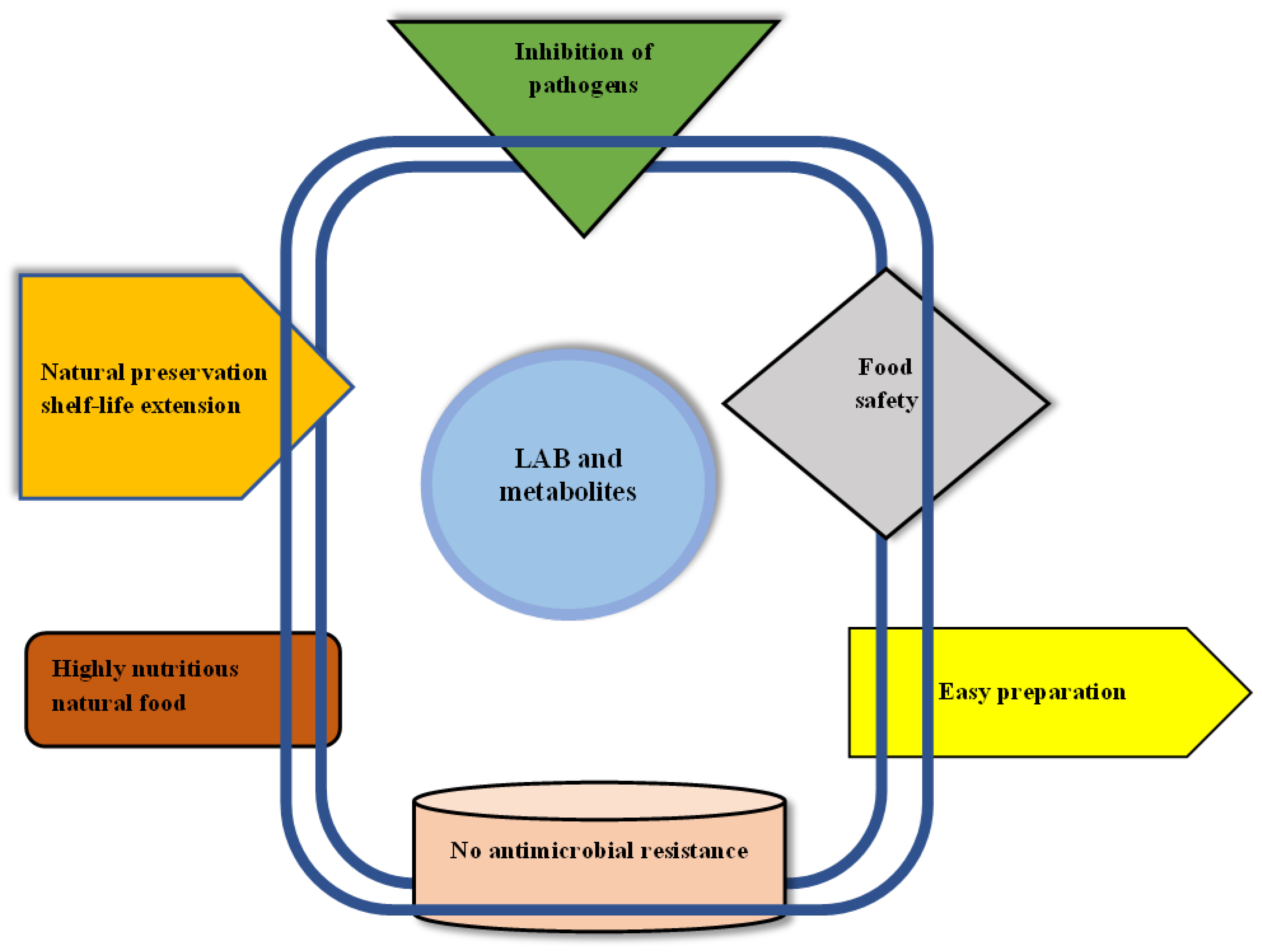 Fishes 09 00303 g001