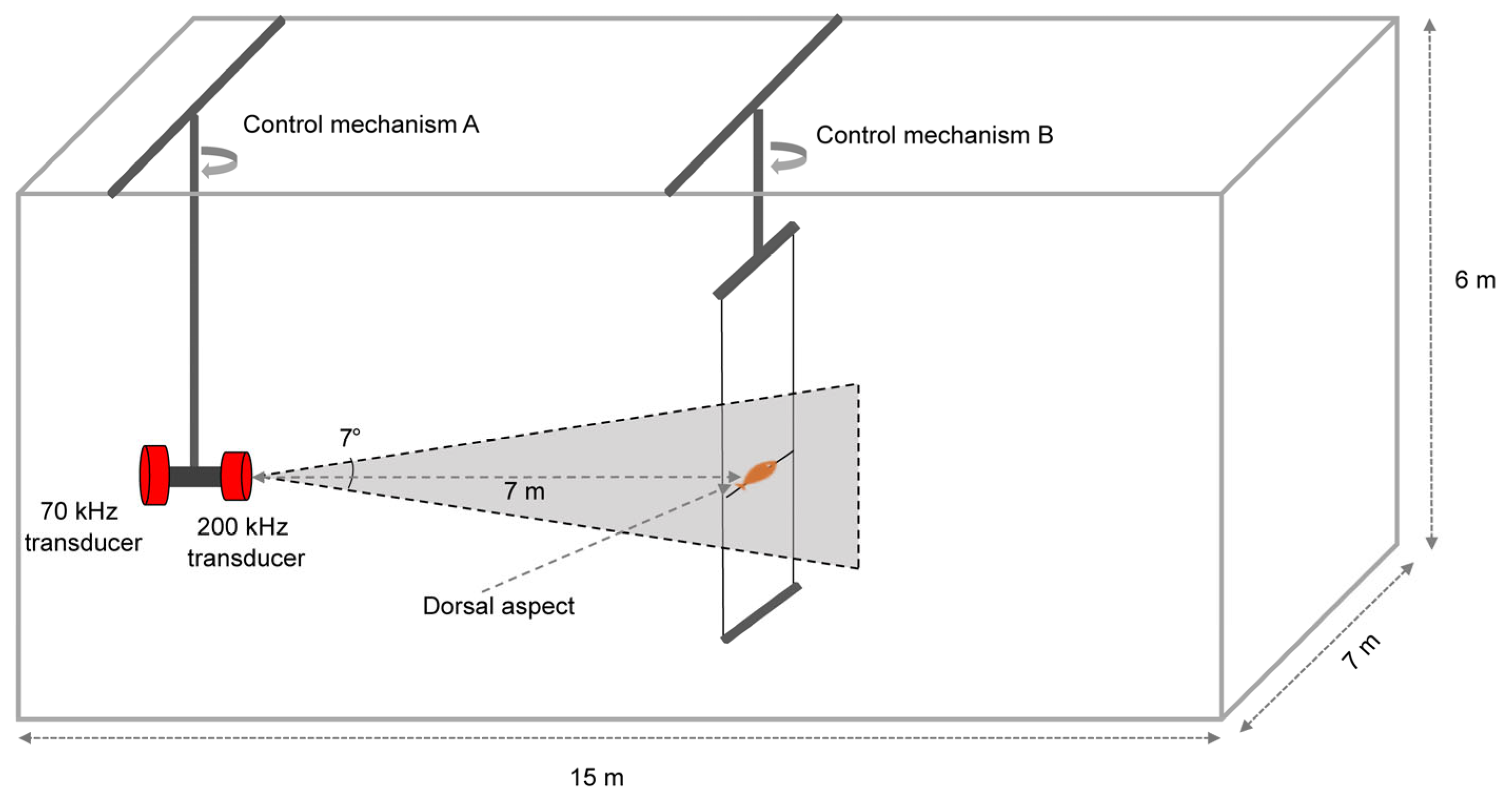 Fishes 09 00304 g002