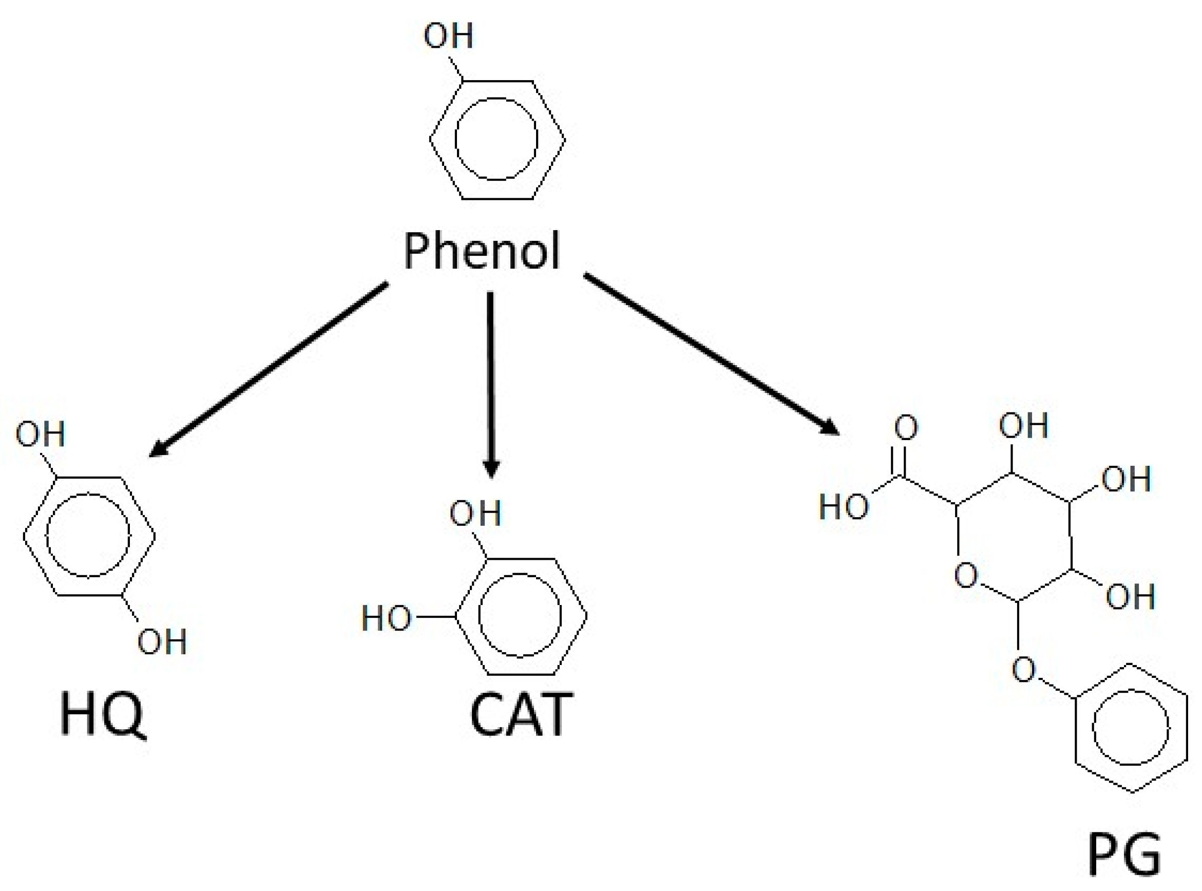 Fishes 09 00311 g007 Fishes 09 00311 g007