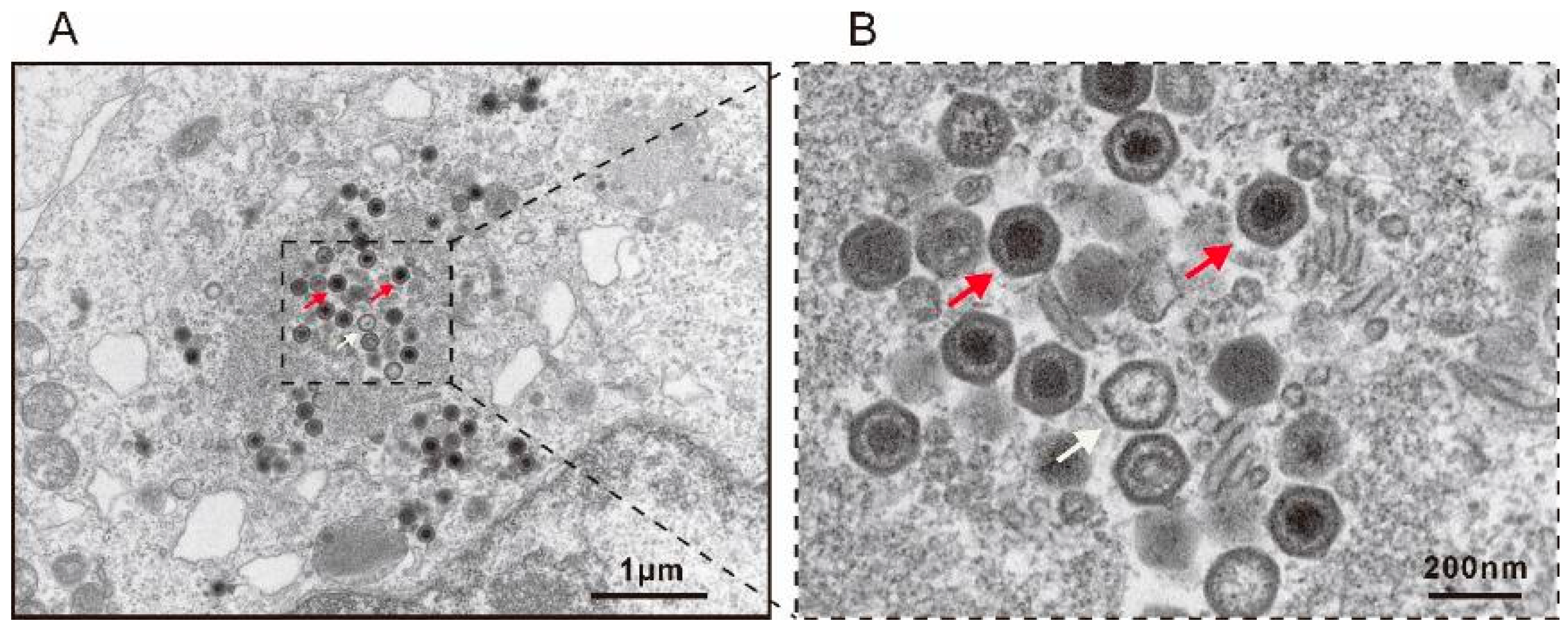 Fishes 09 00314 g004