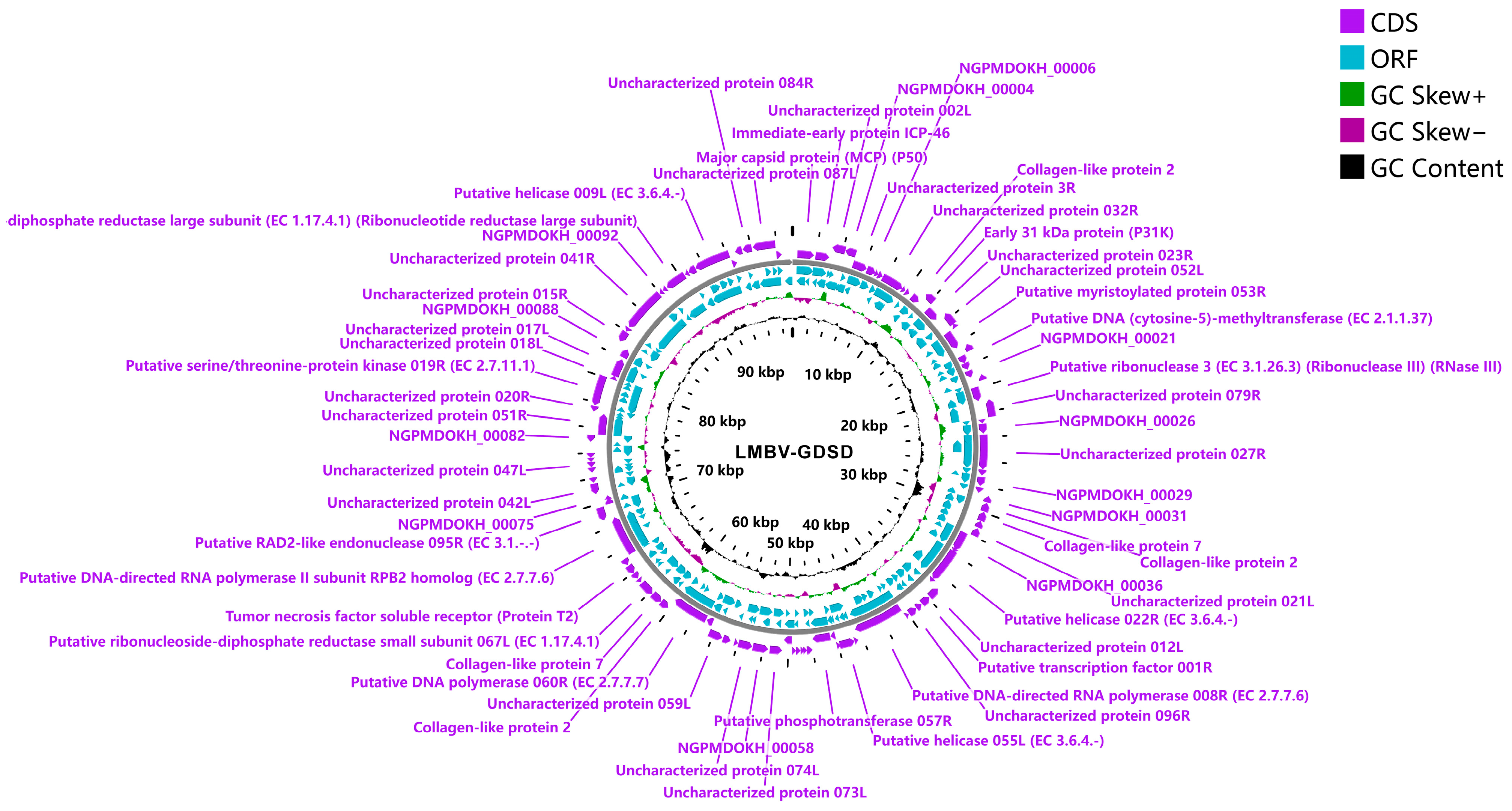 Fishes 09 00314 g005