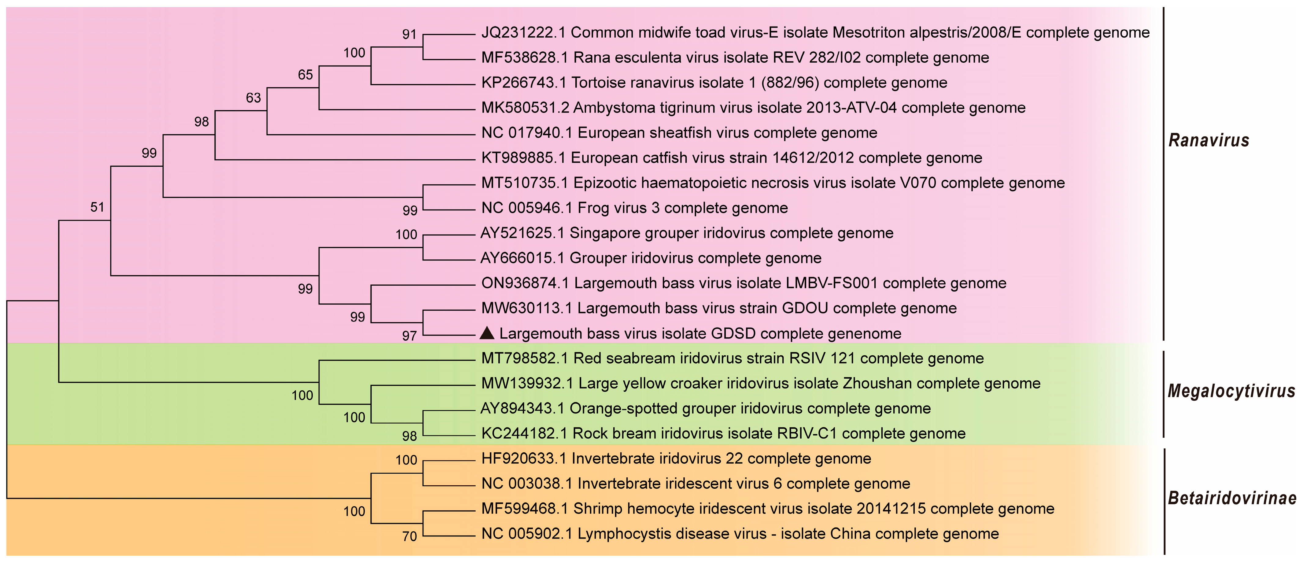 Fishes 09 00314 g006