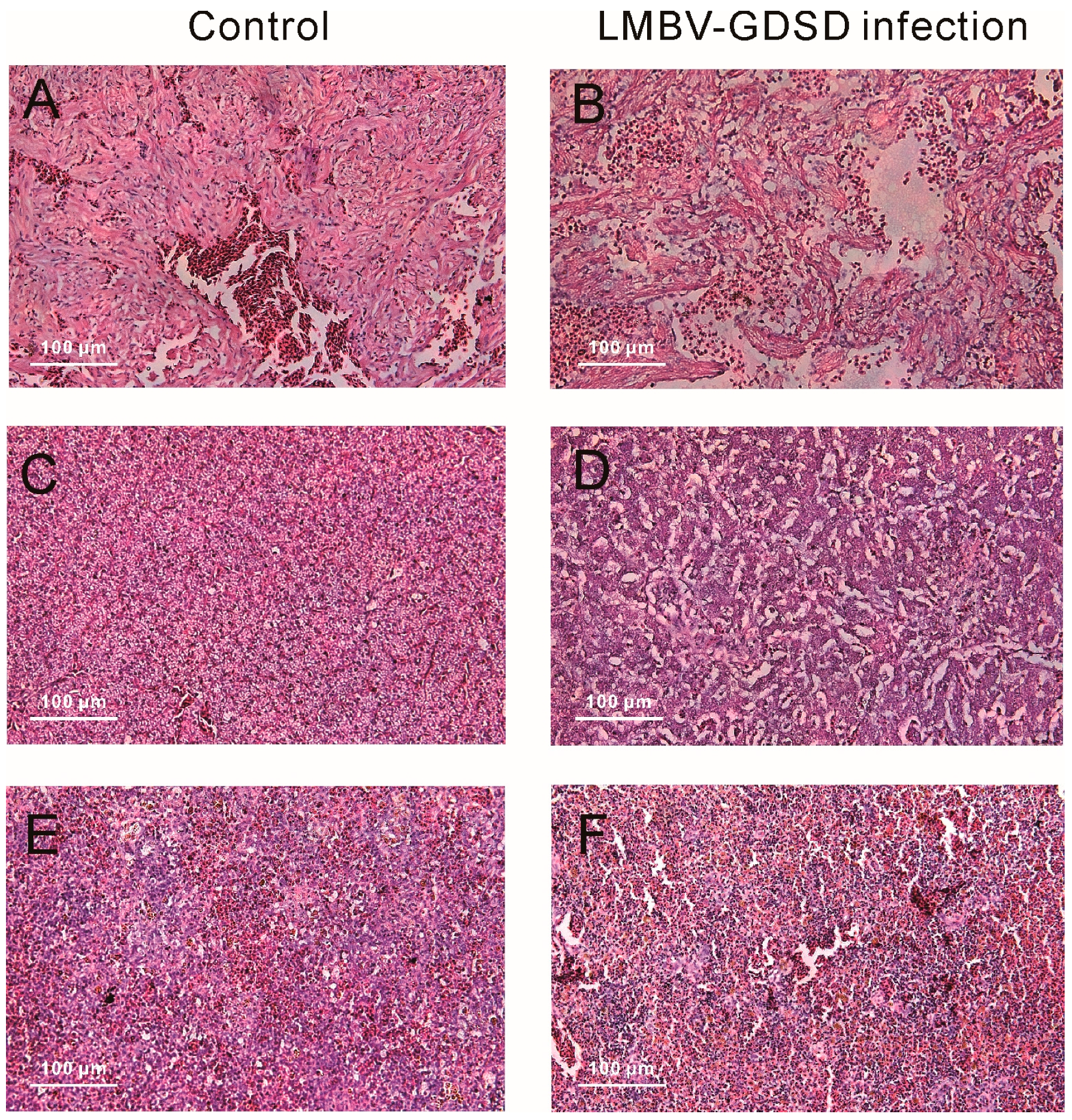 Fishes 09 00314 g011