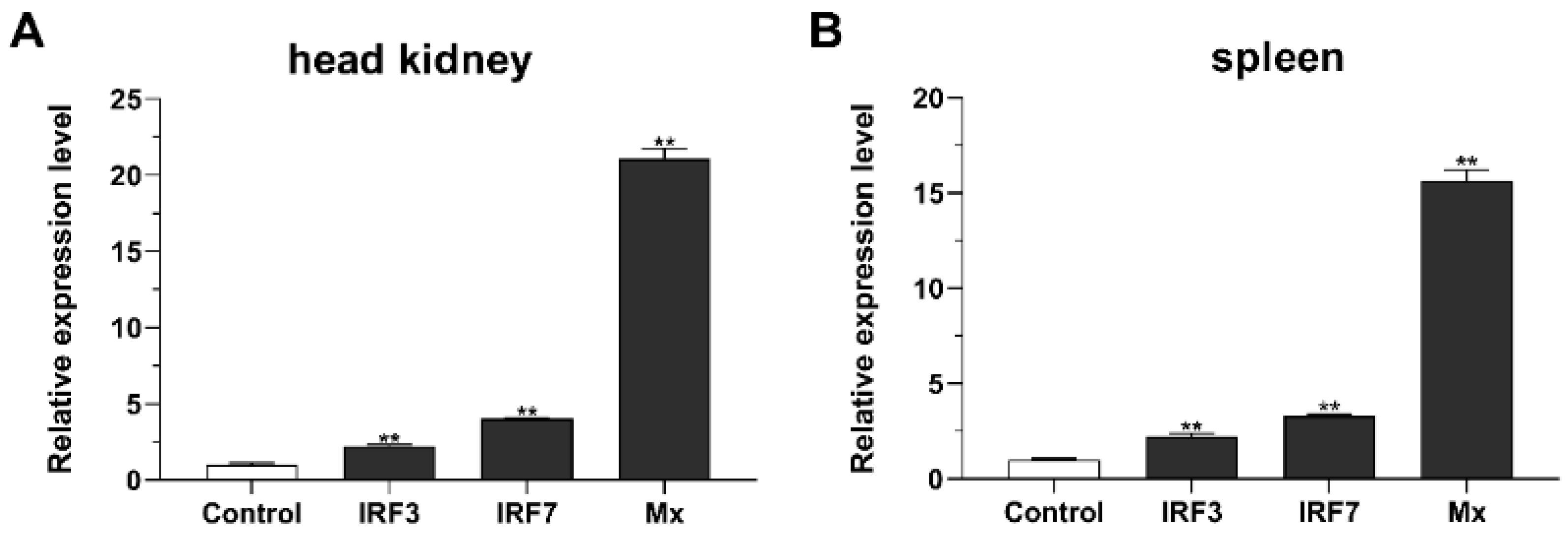 Fishes 09 00314 g012