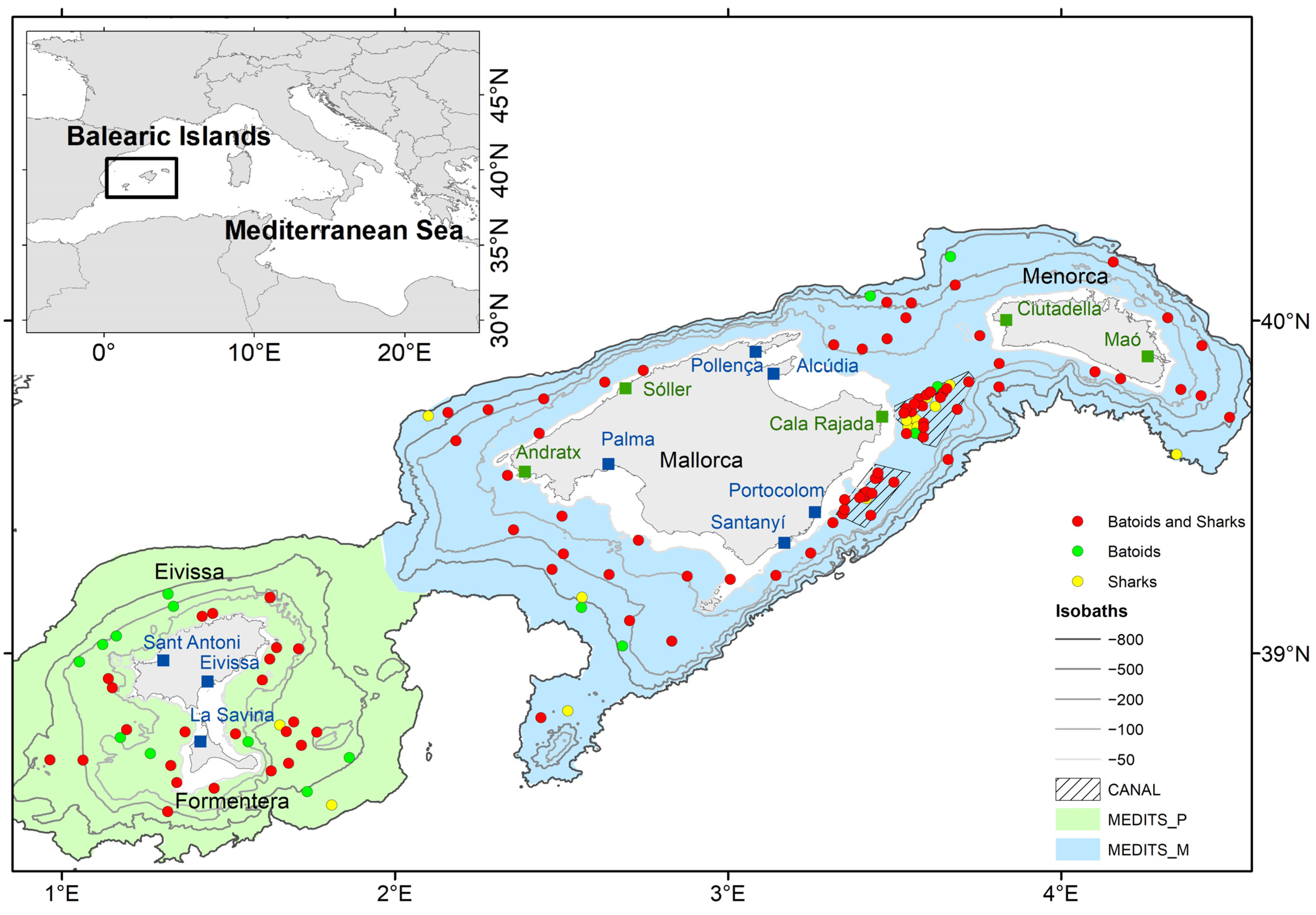 Fishes 09 00315 g001