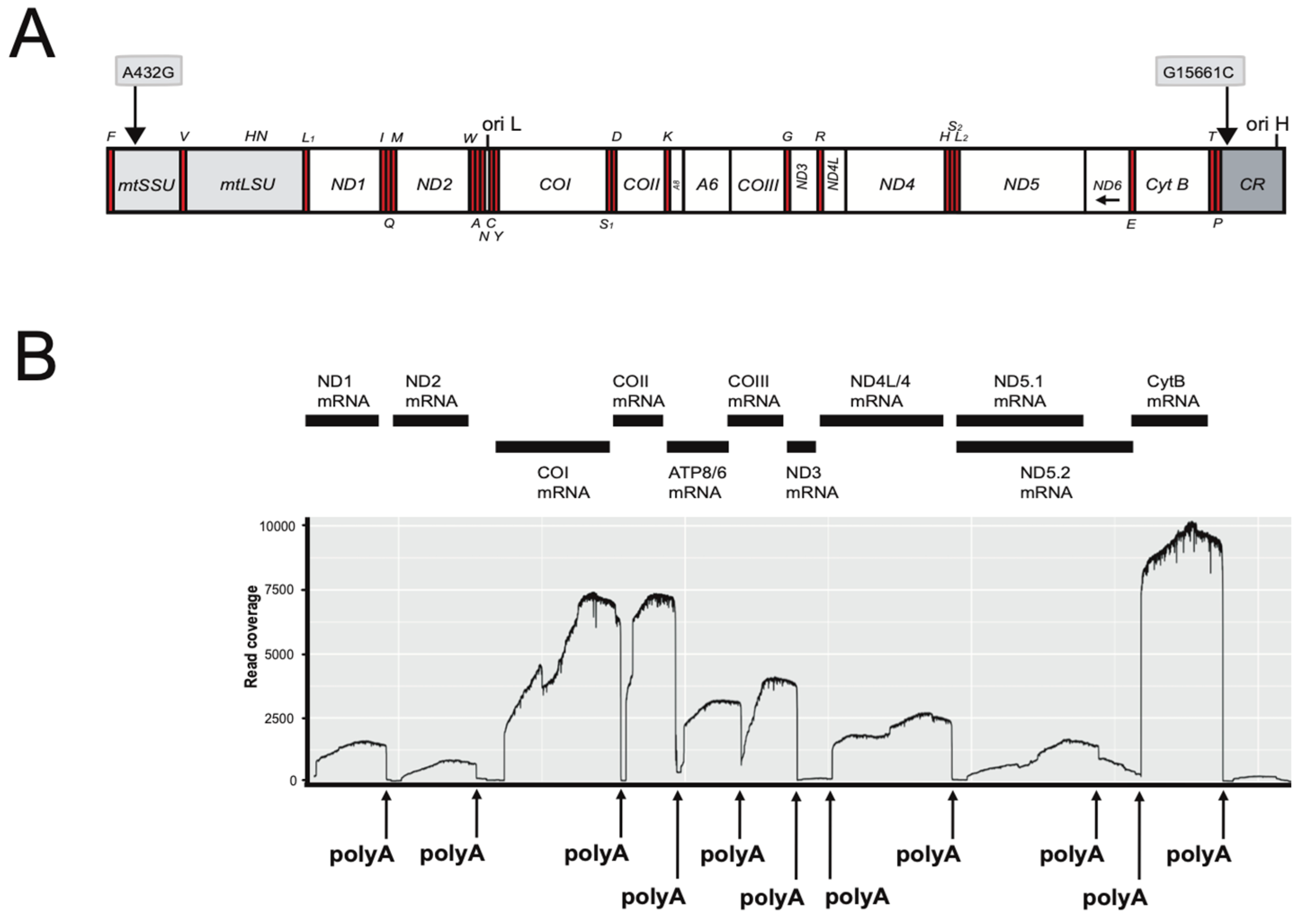 Fishes 09 00317 g001