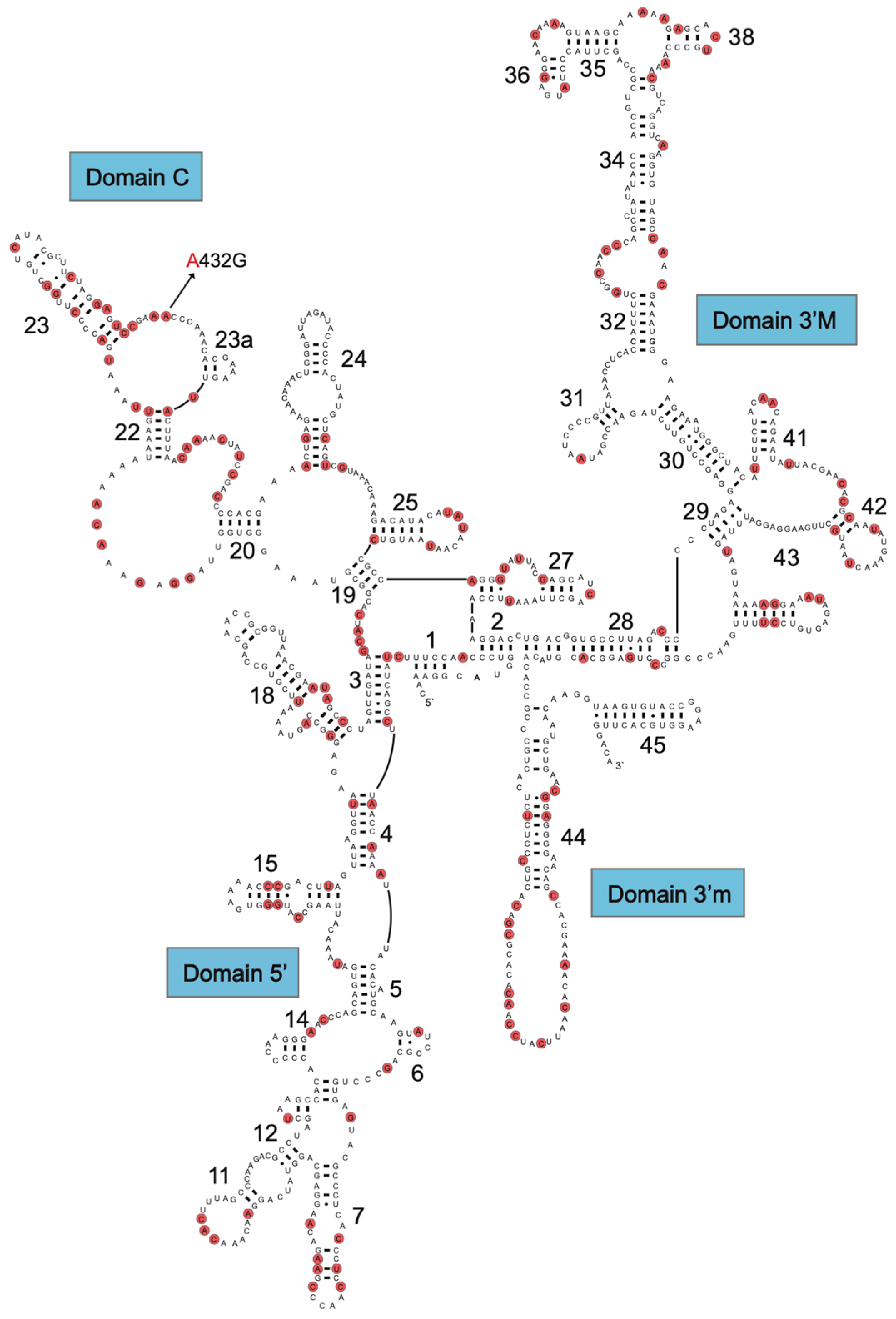 Fishes 09 00317 g002