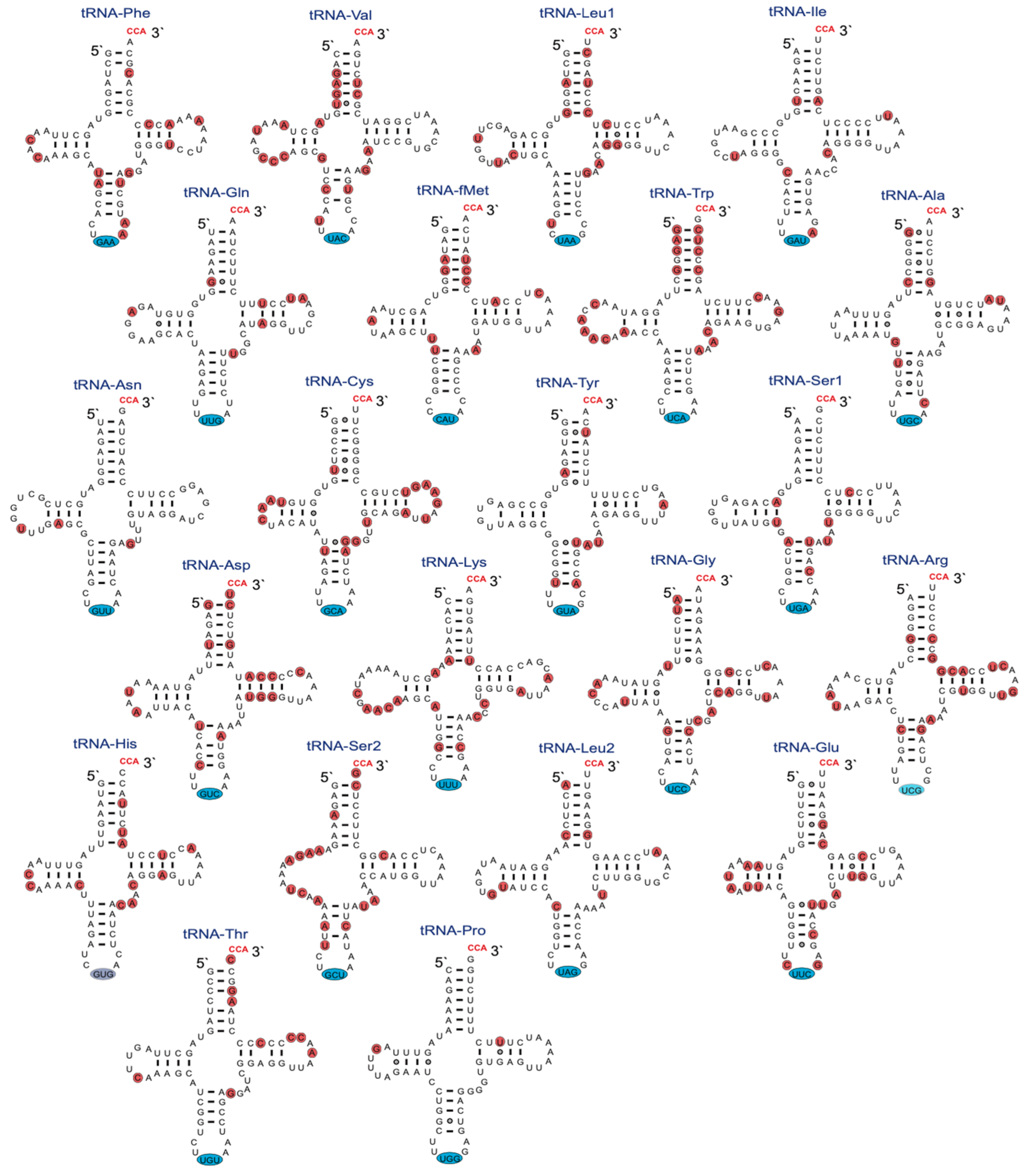 Fishes 09 00317 g003