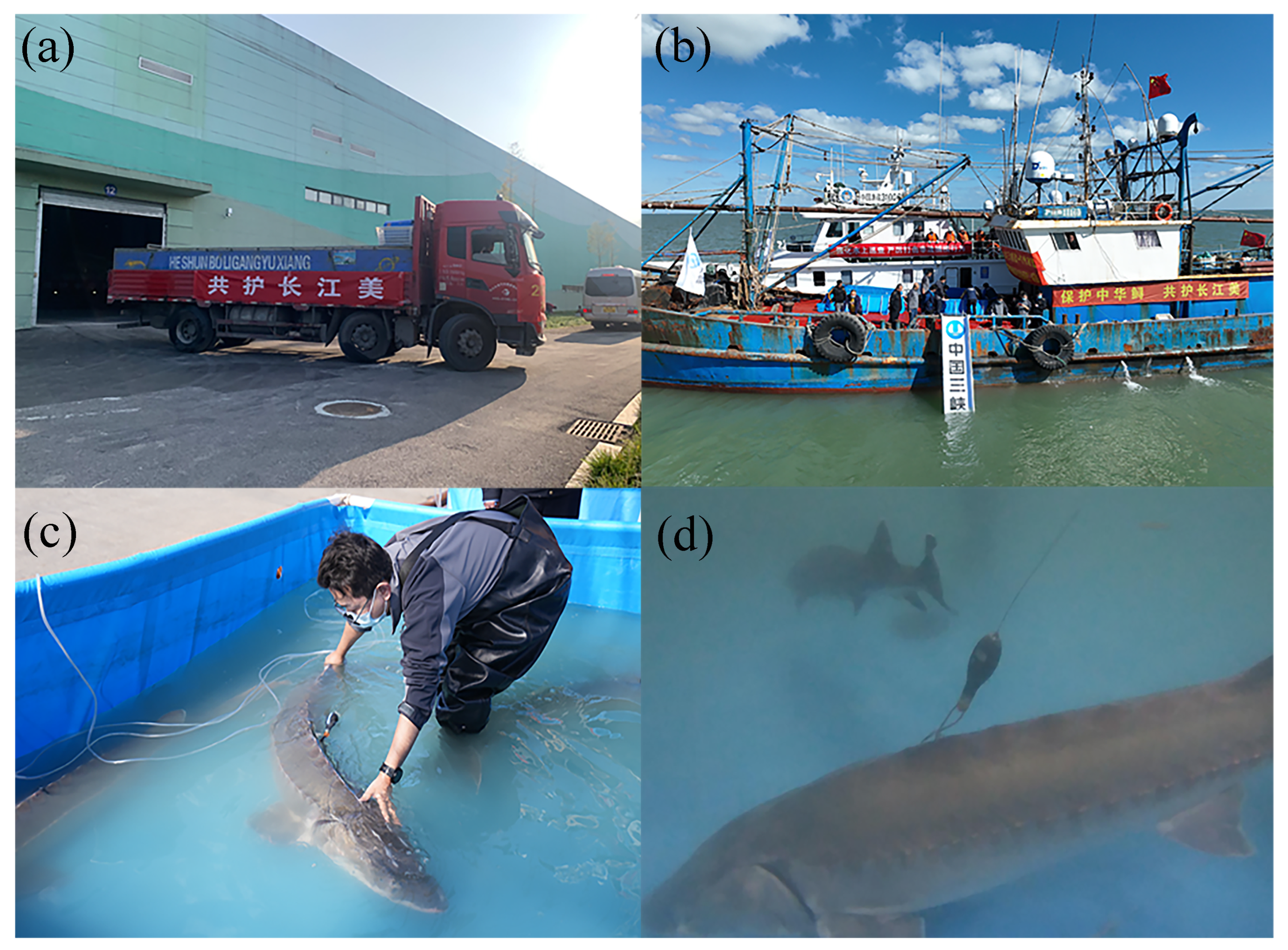 Fishes 09 00321 g002