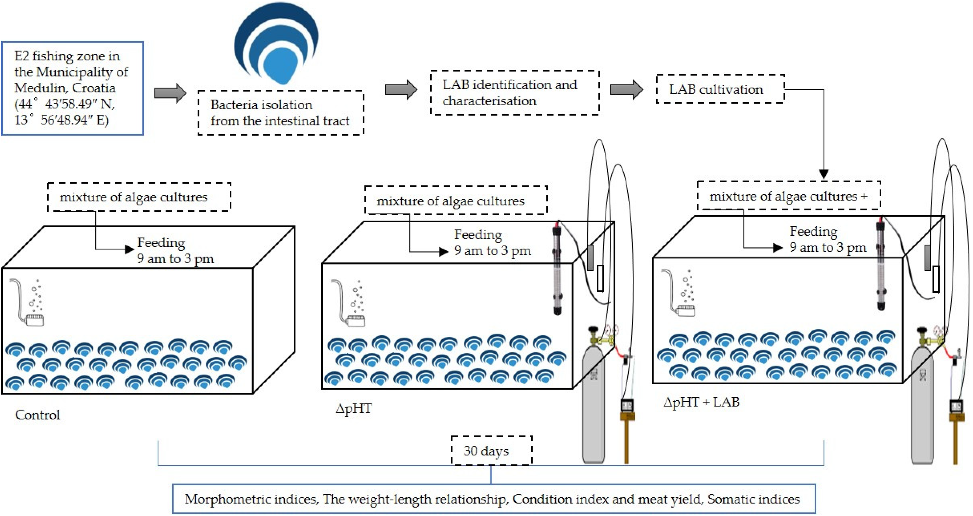 Fishes 09 00326 g001