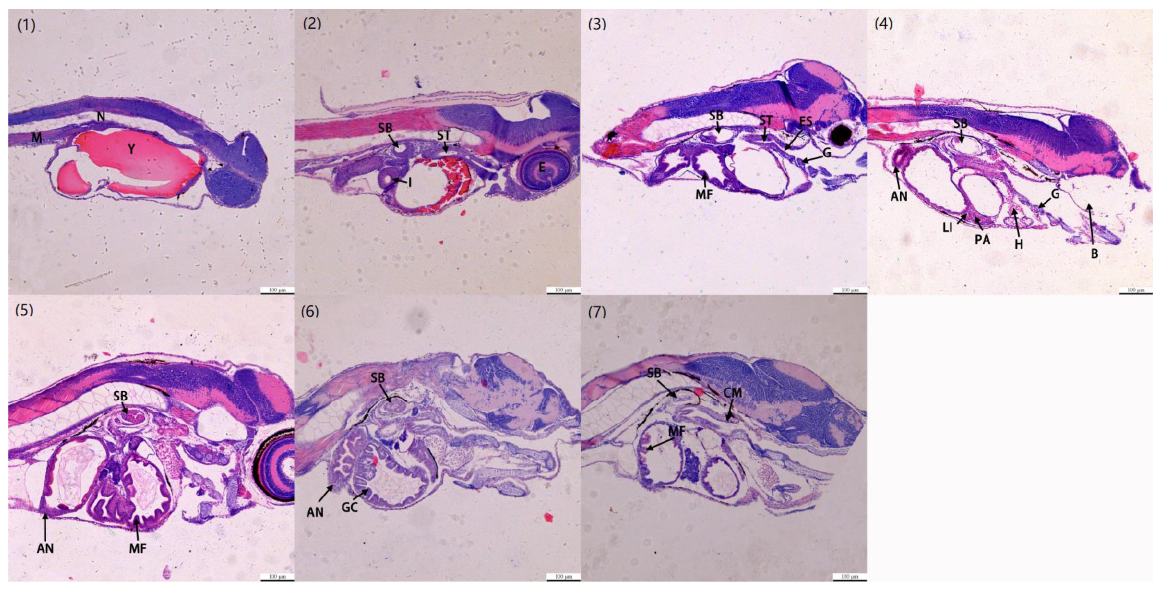 Fishes 09 00329 g003