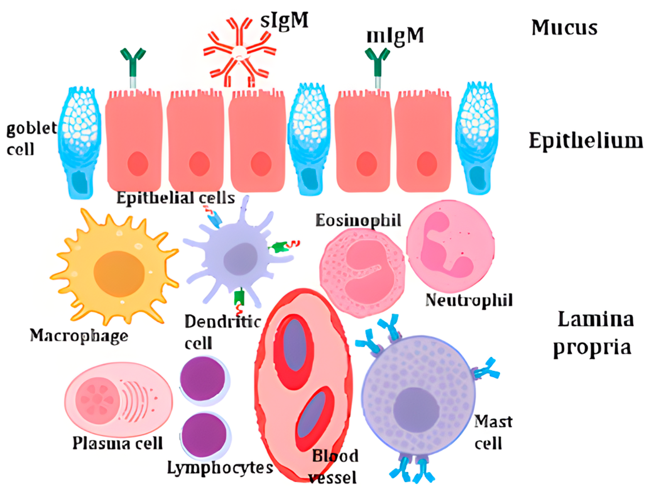 Fishes 09 00330 g001