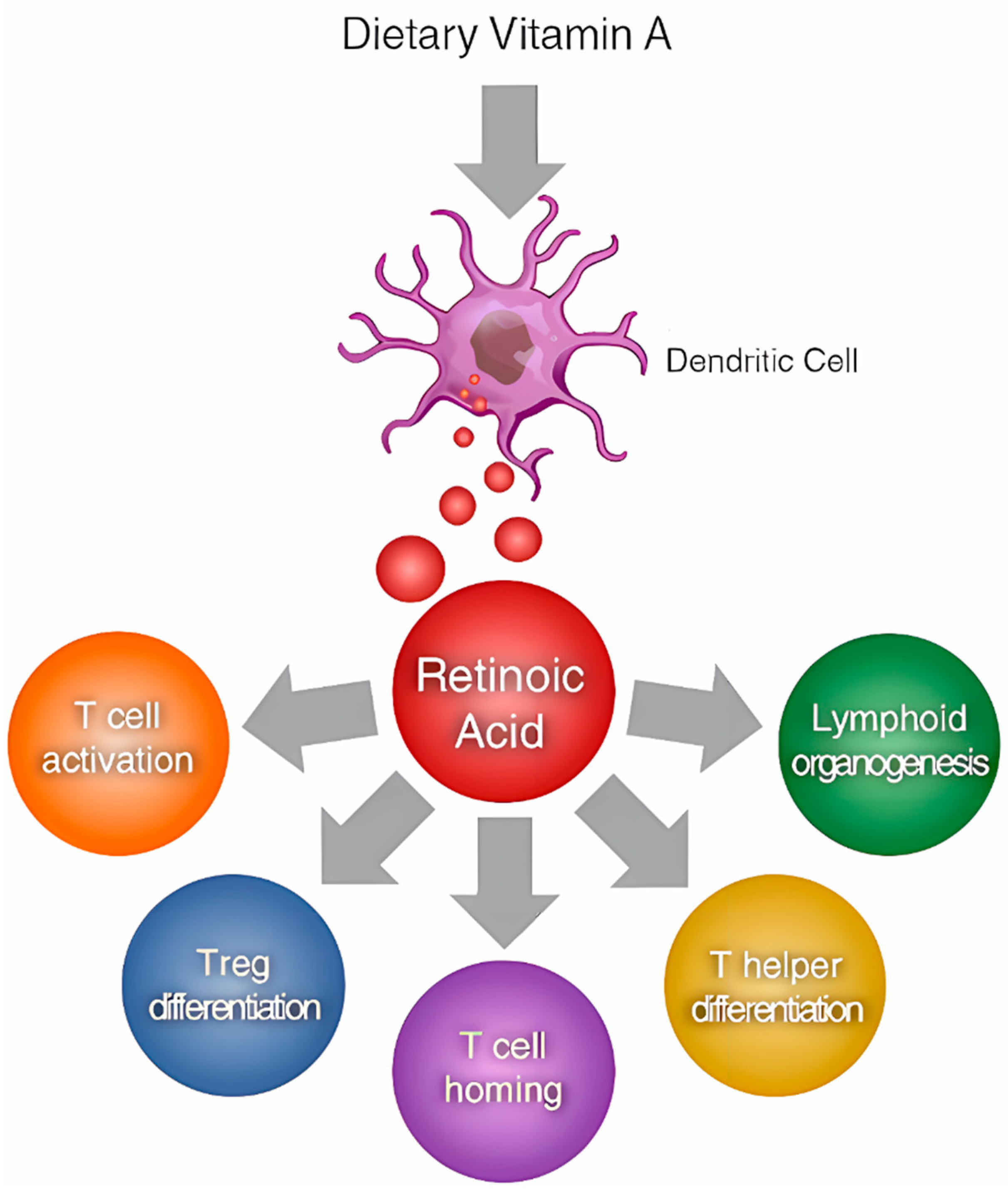 Fishes 09 00330 g002